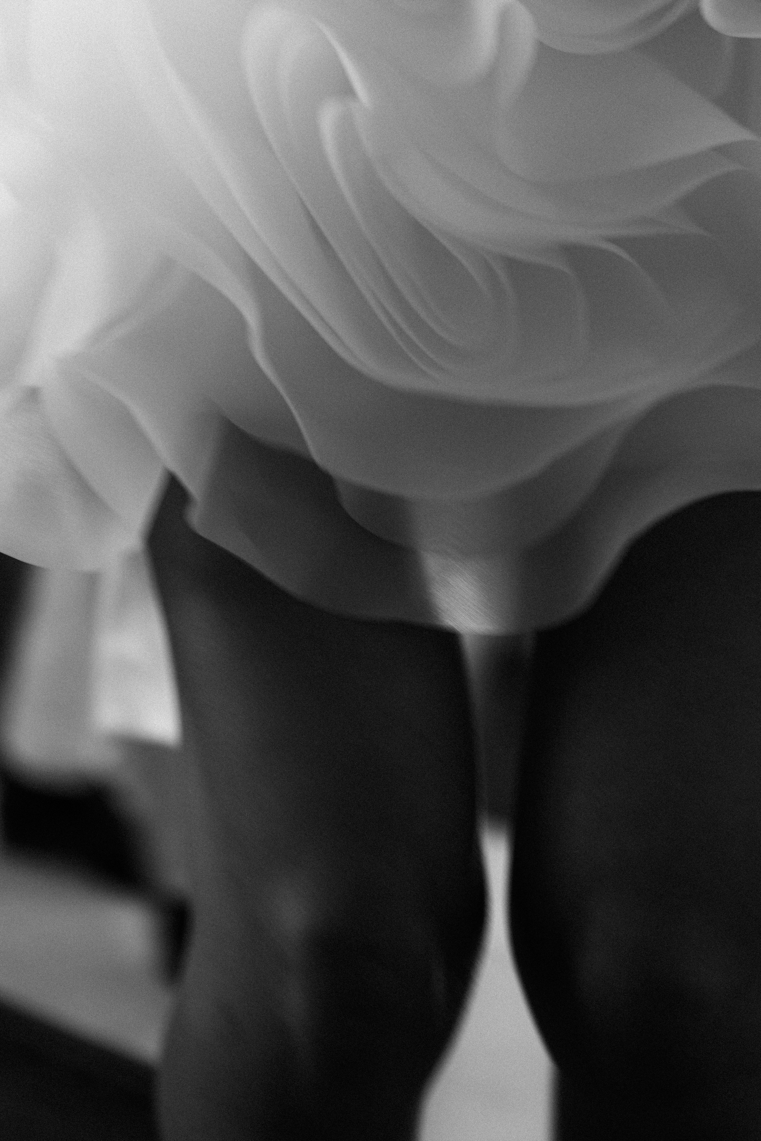 Свадьбы. Dani's eyes