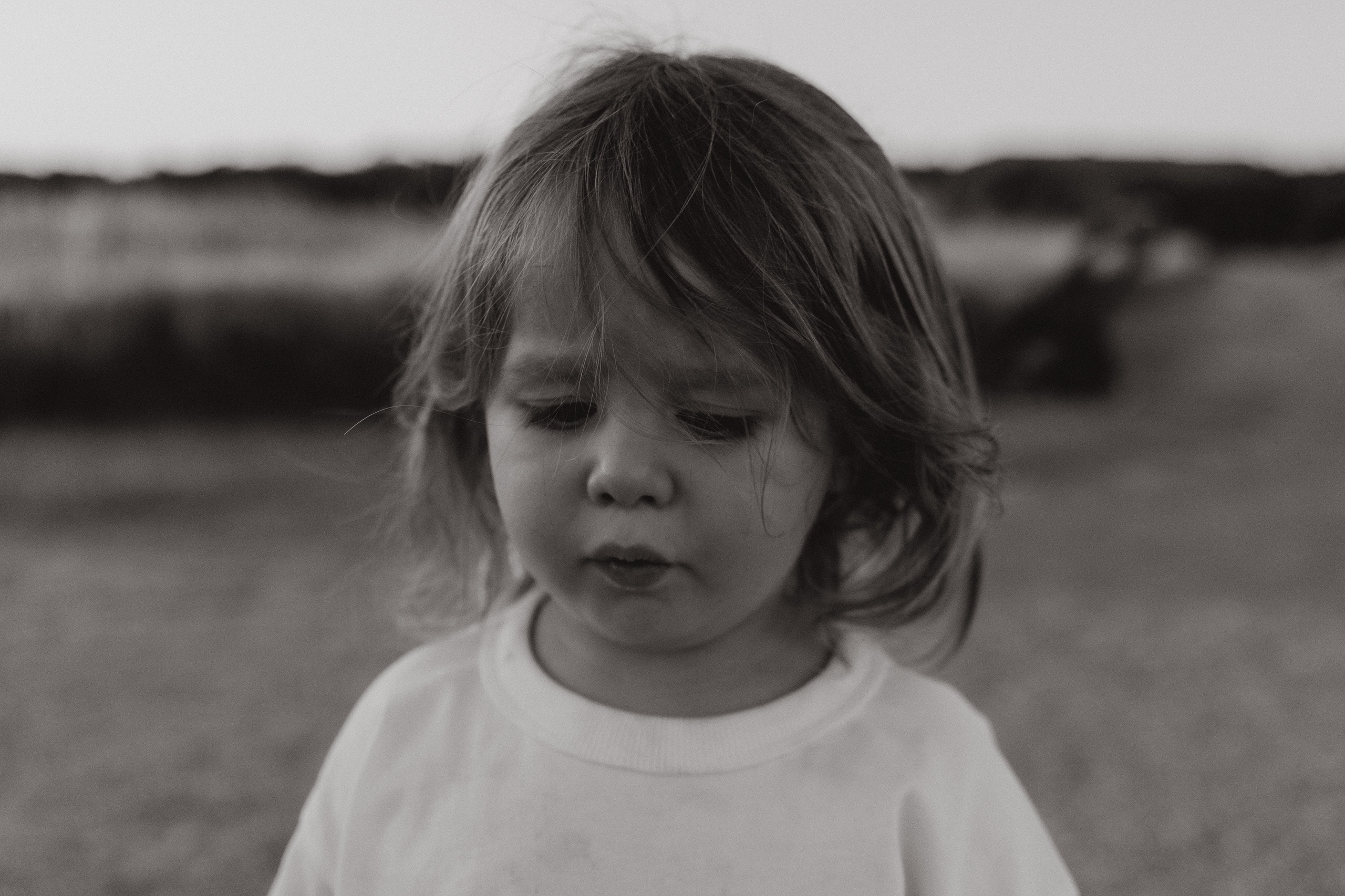 Autumn Story. Lens Captures Life