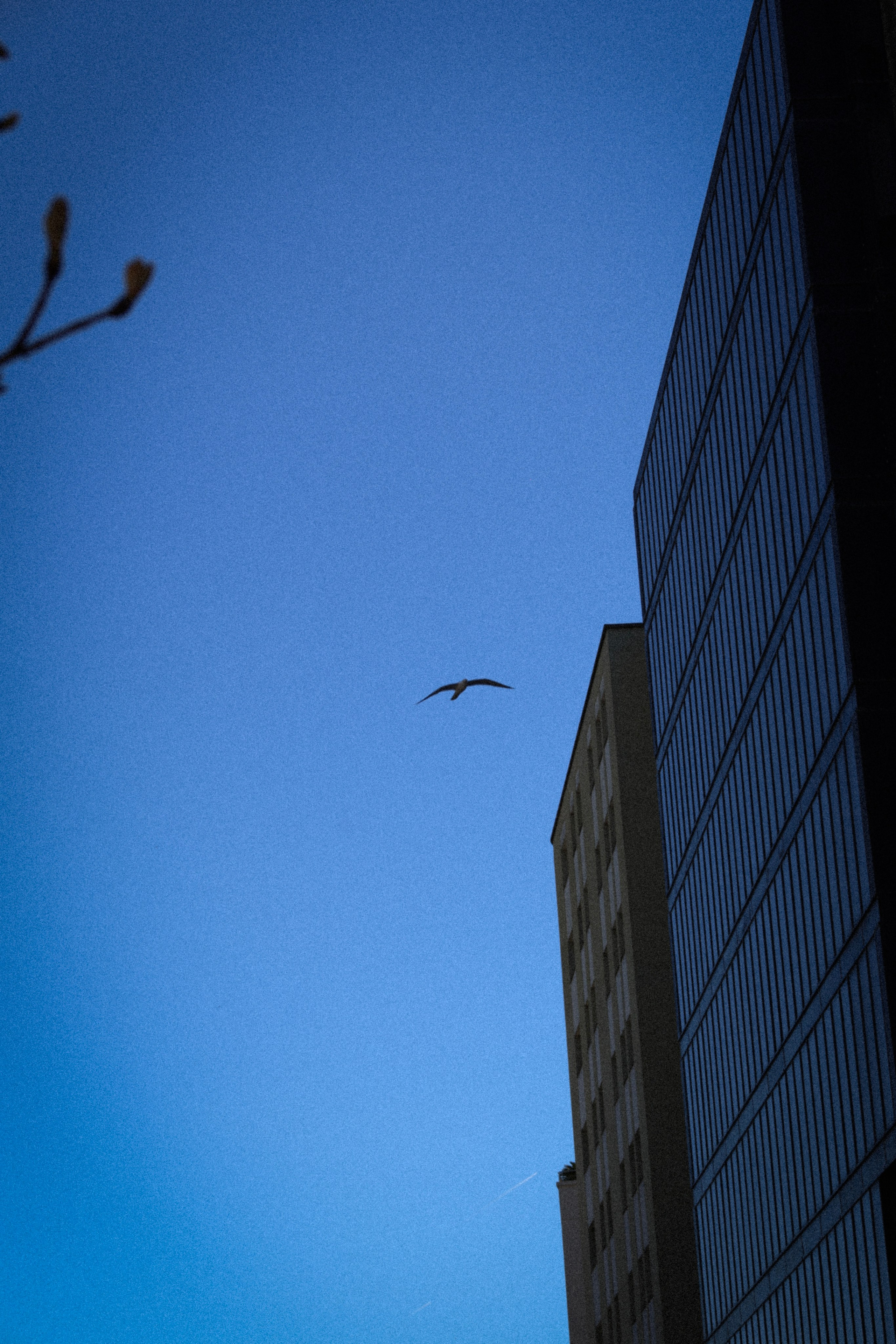 El toque de Gerona. Vladislav Makarov. Portrait & Street style photographer in Baku