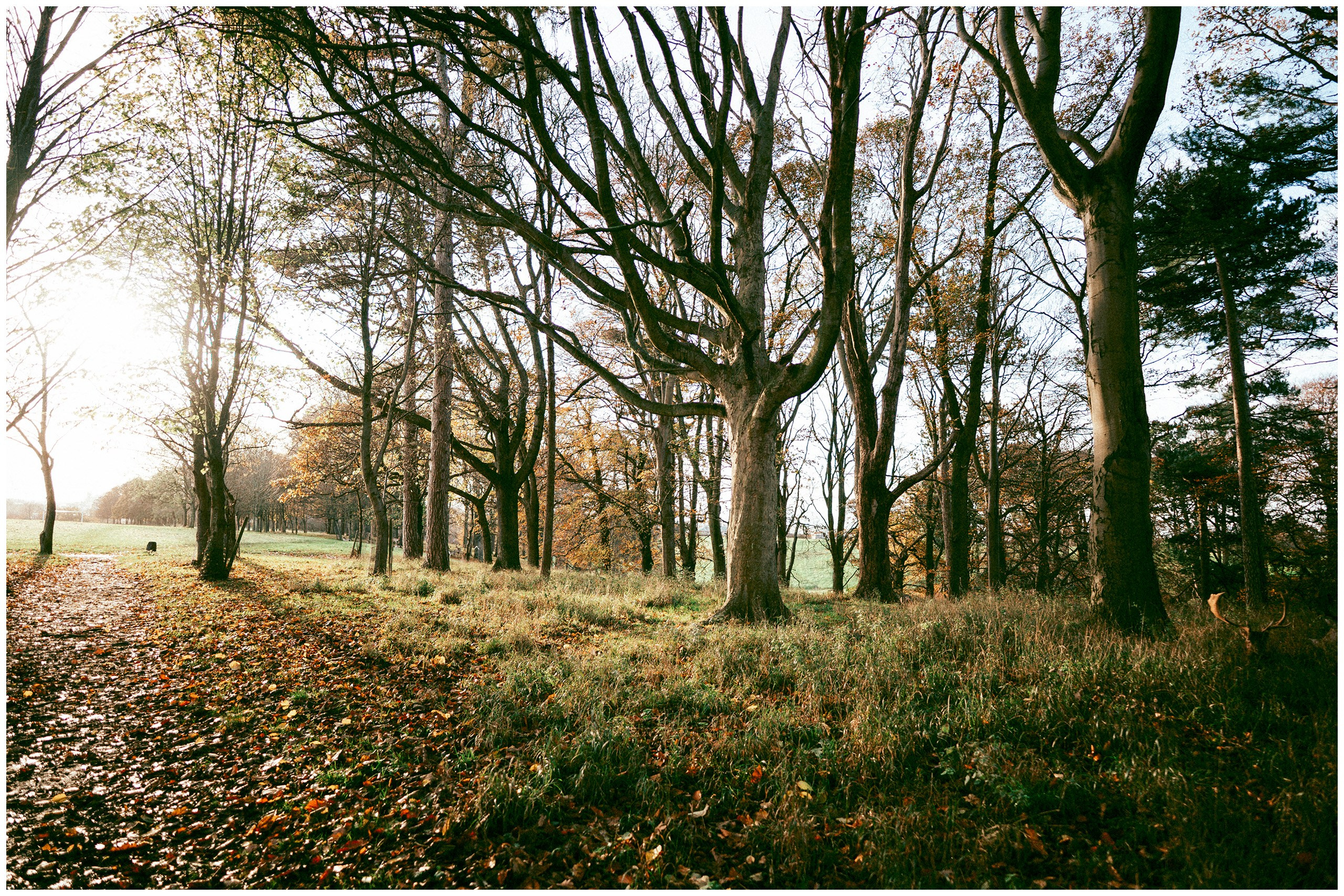 IRELAND. Inna Mendelson — Photographer