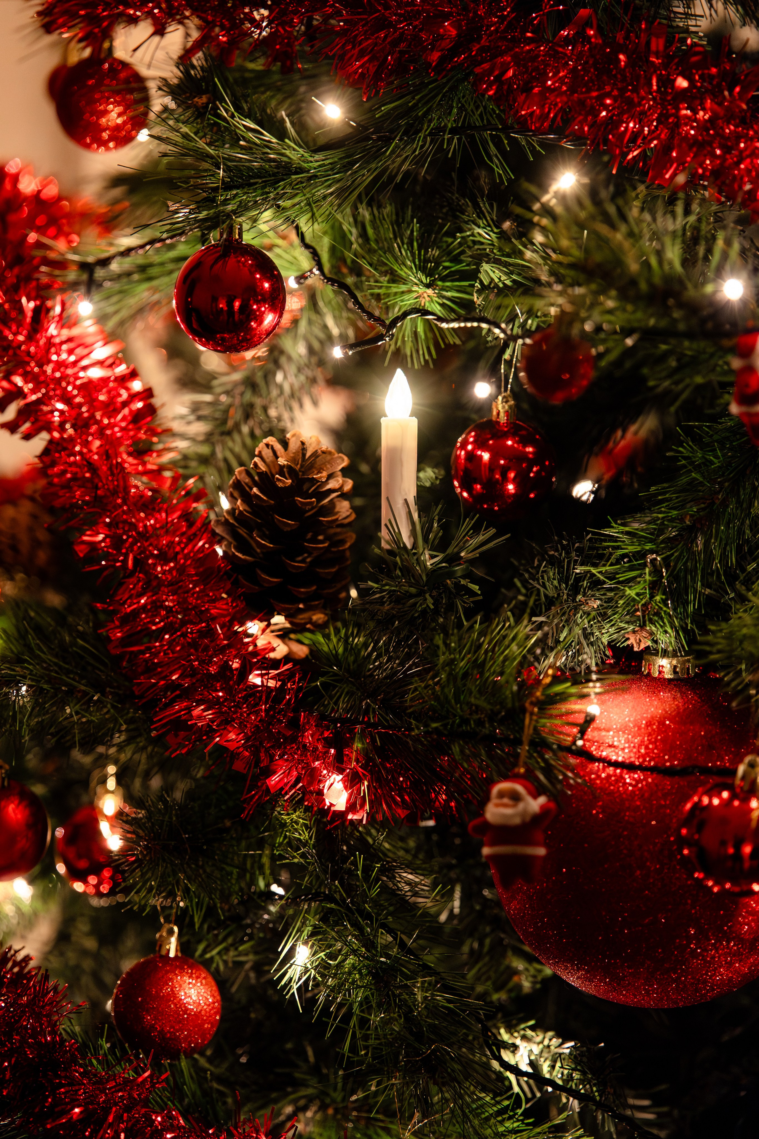 Them Artsy Studios — Ședințe Foto de Crăciun by Fulop Robert & Oana Petrea