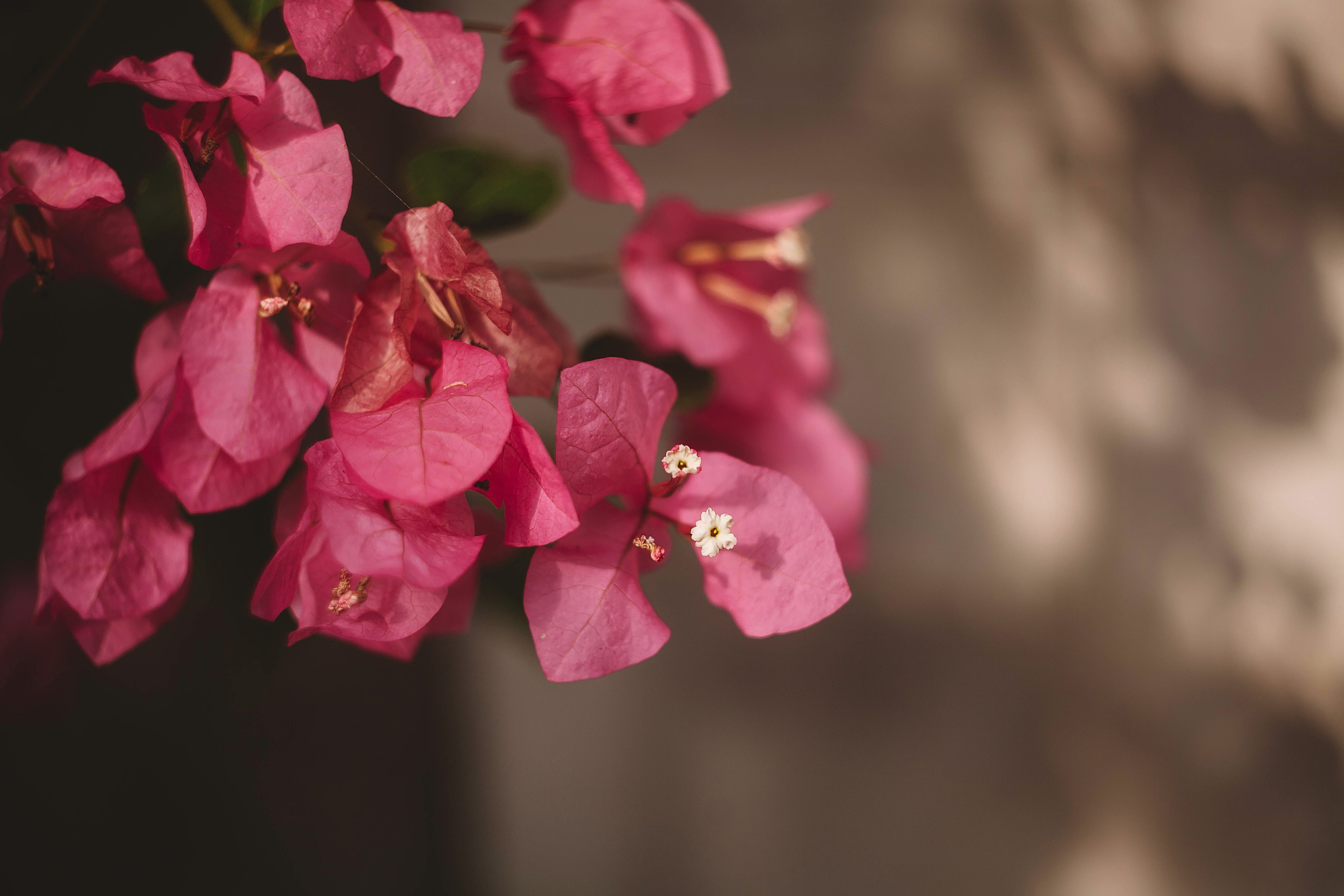 Landscapes. Wedding photographer Lyubov Sun Reutlingen