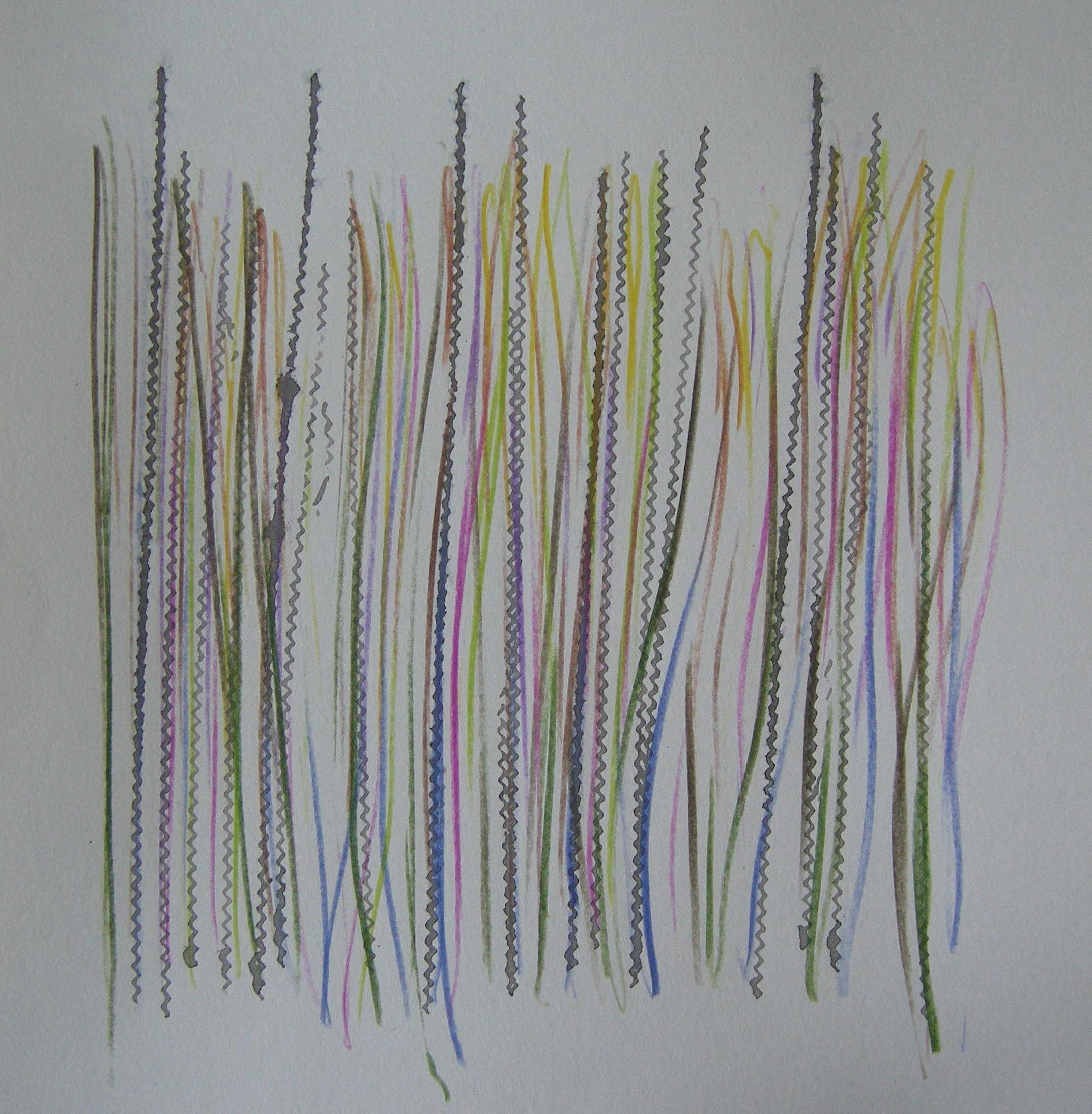 O.T. 2024 - 30x30