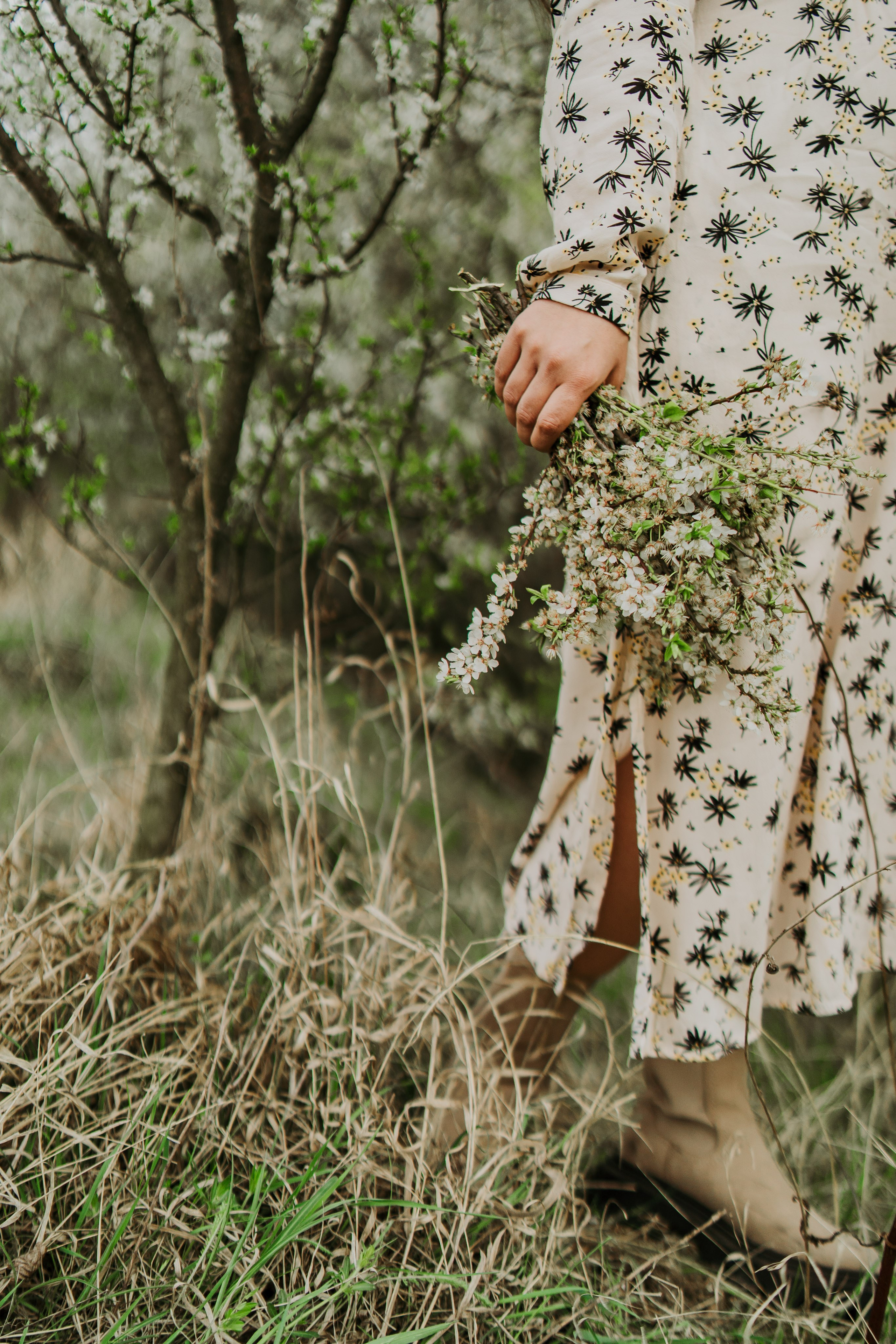 Renaștere. Foto-Video Nunta Iasi, Suceava, Bucuresti / Disponibilitate 2025 — 2026 — 2027