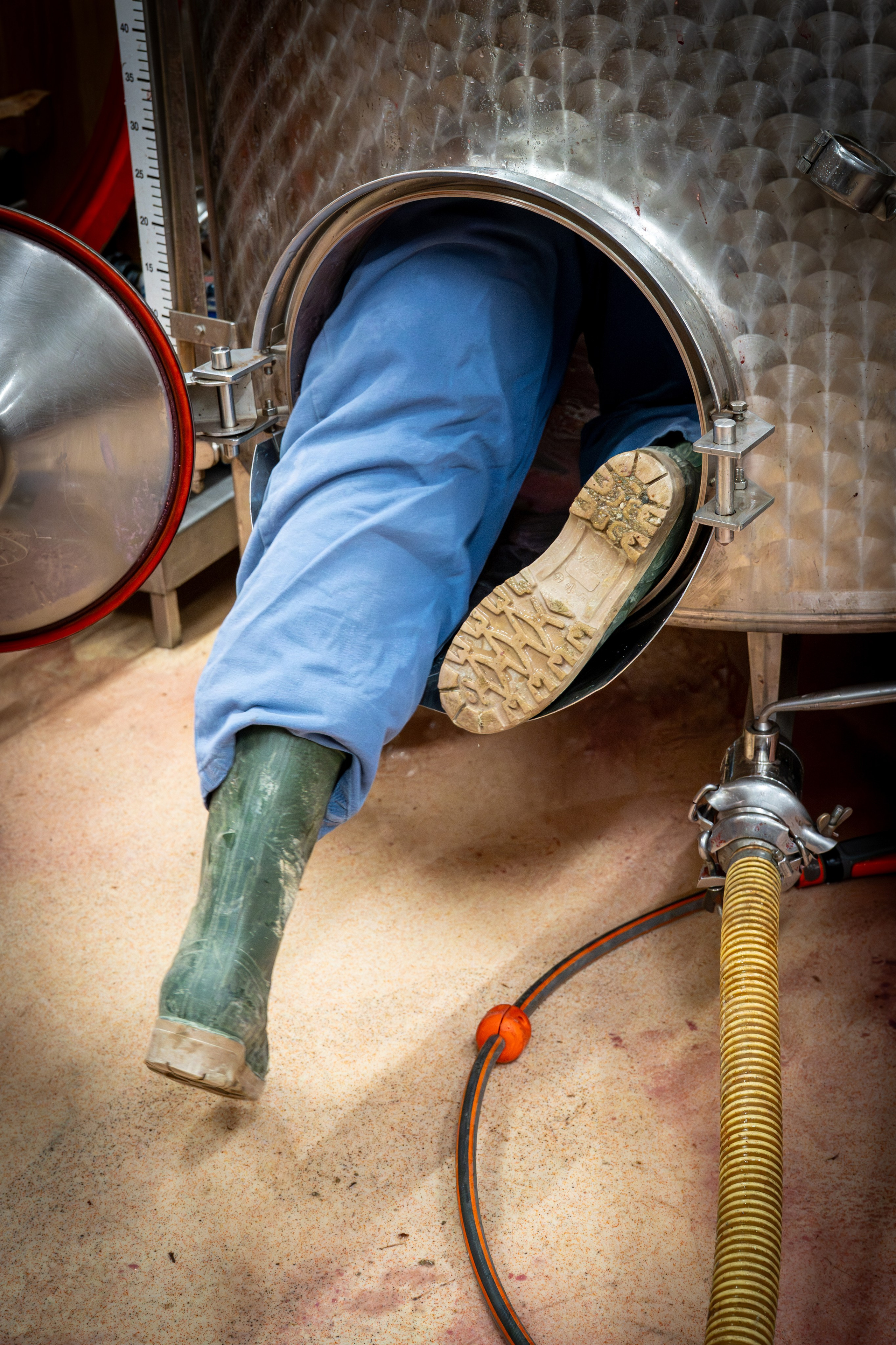 Cantine Boasso Serralunga. “Gianmaria Coscia fotografo per passione”