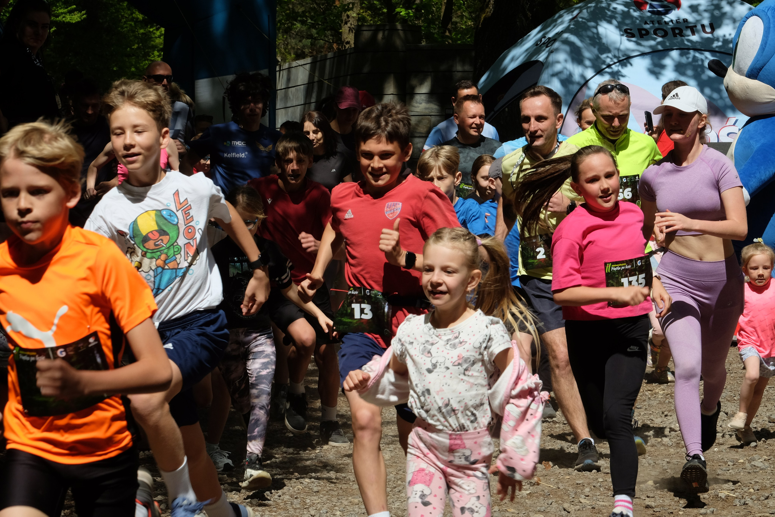 Aleksandryjska Piątka po lesie. Main