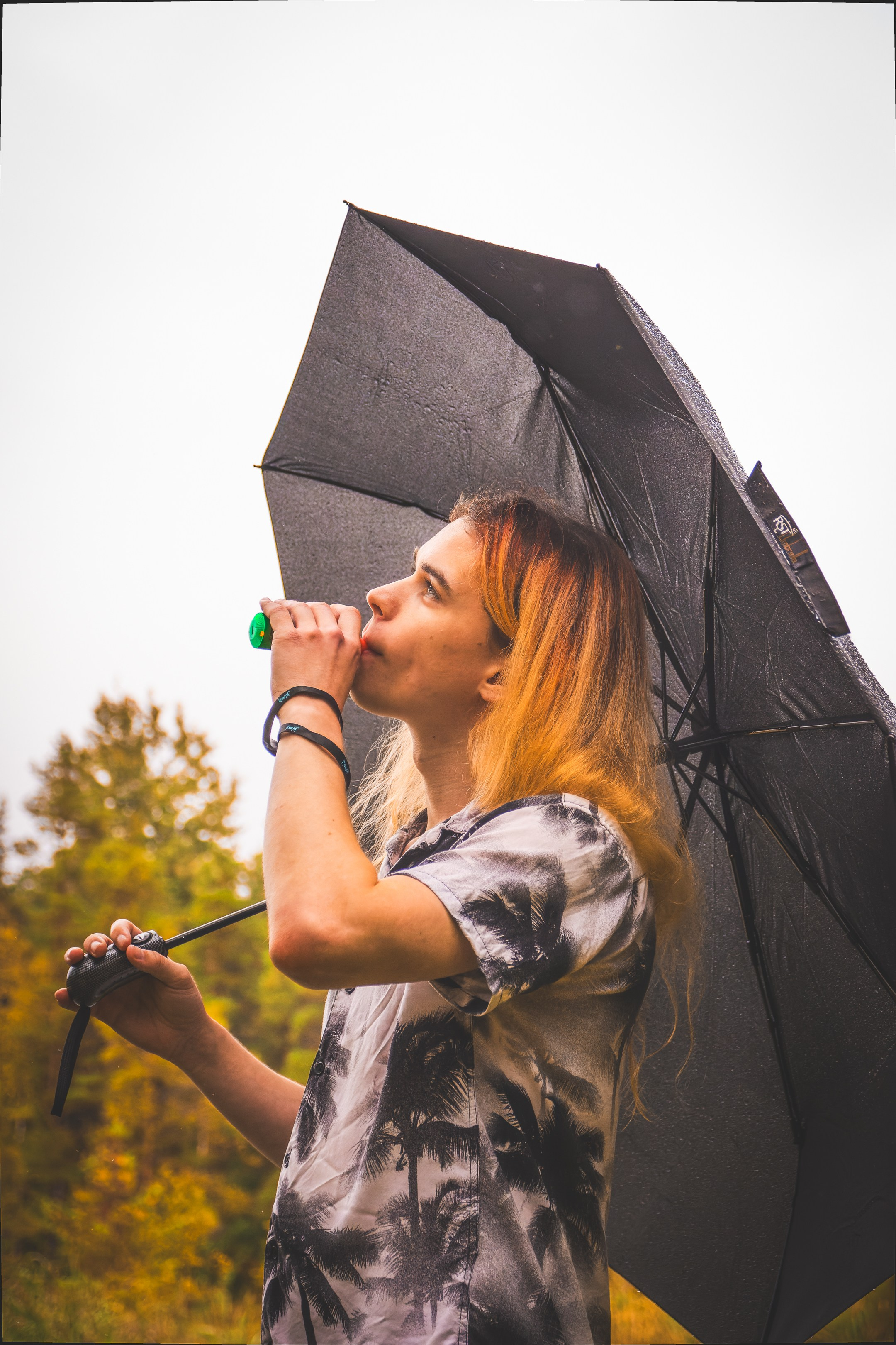 Mets, vihm ja jahedus (Dimitry). Nebula 25 — Fotod teie hingele