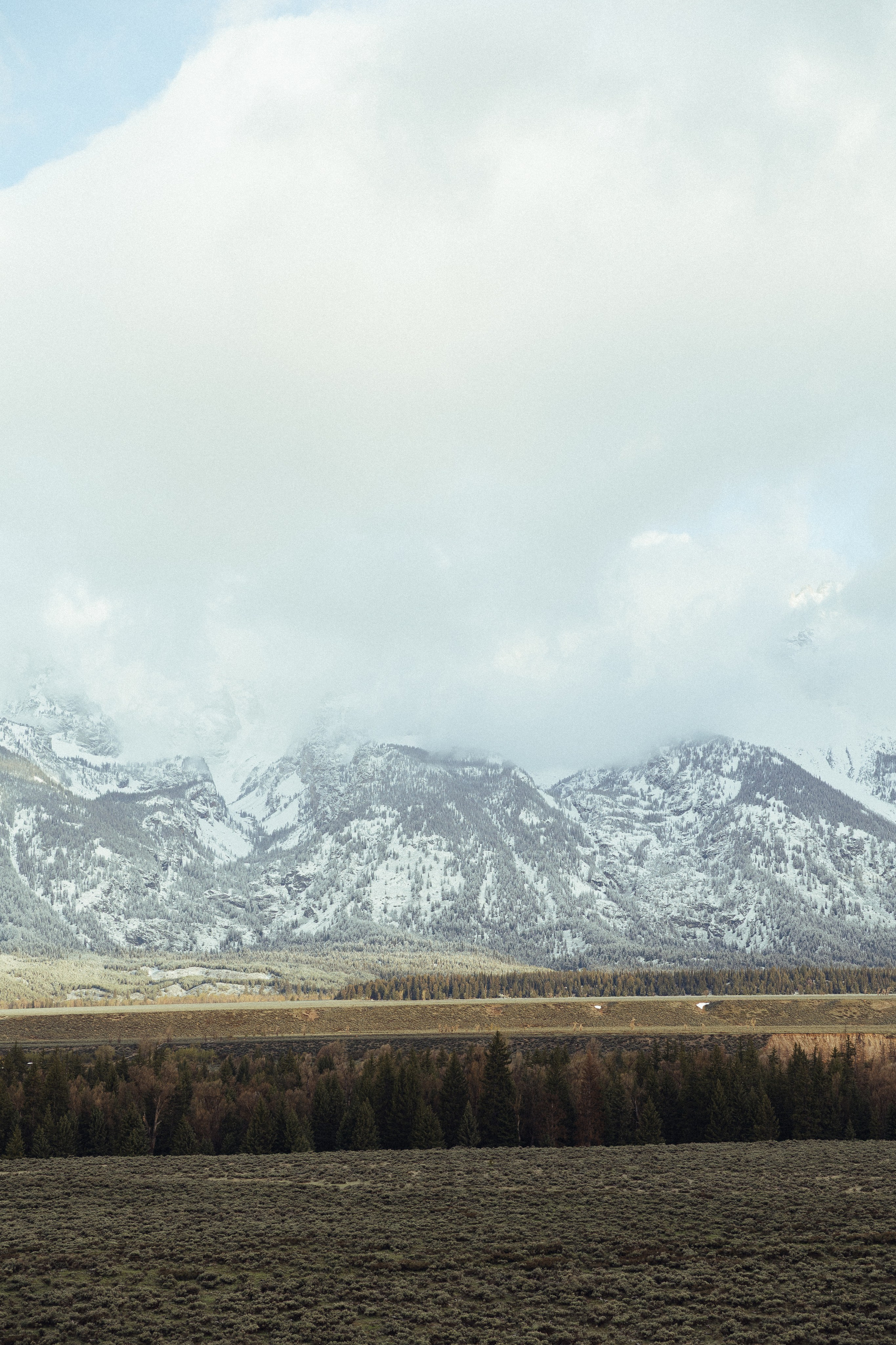 Colby & Hailey | Elopement at Grand Teton