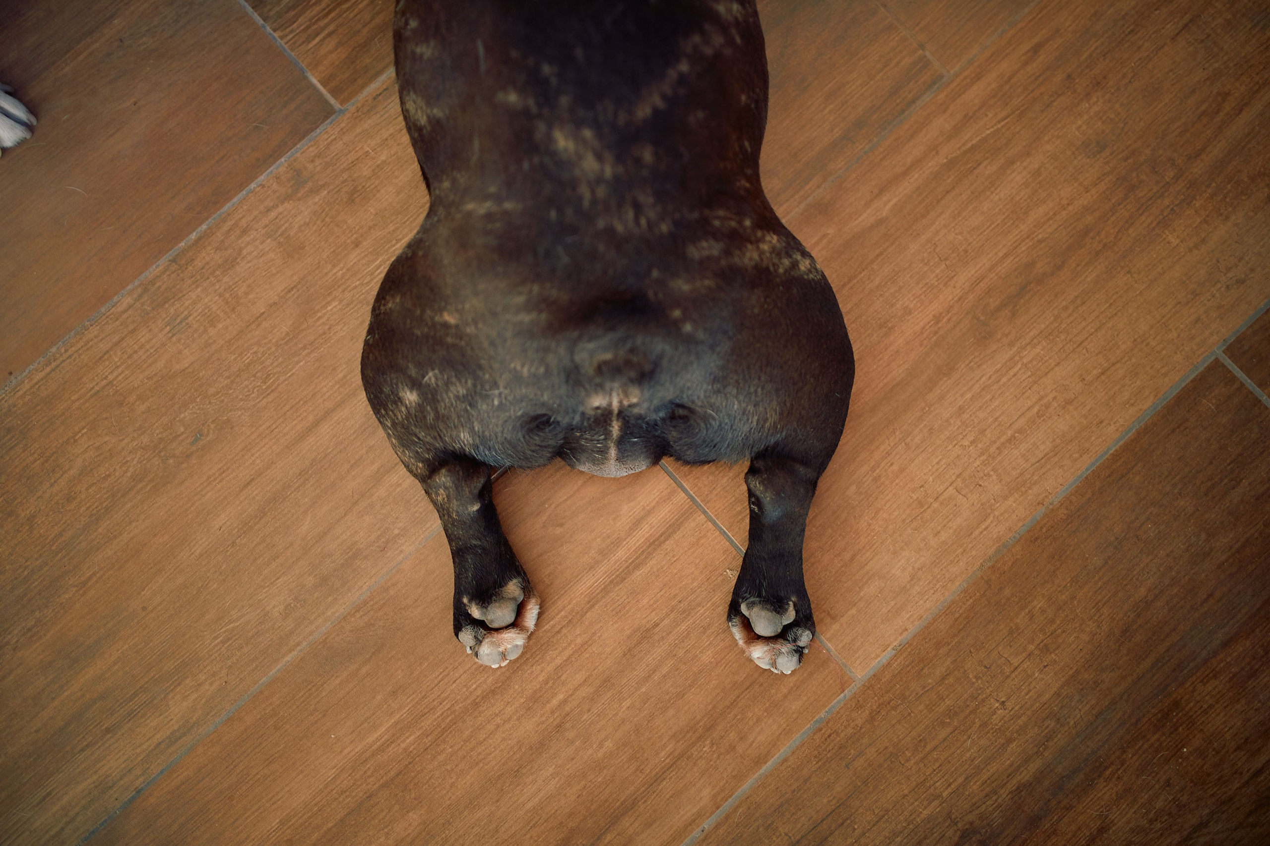 MARTINA. Marcos Ferrari Fotógrafo