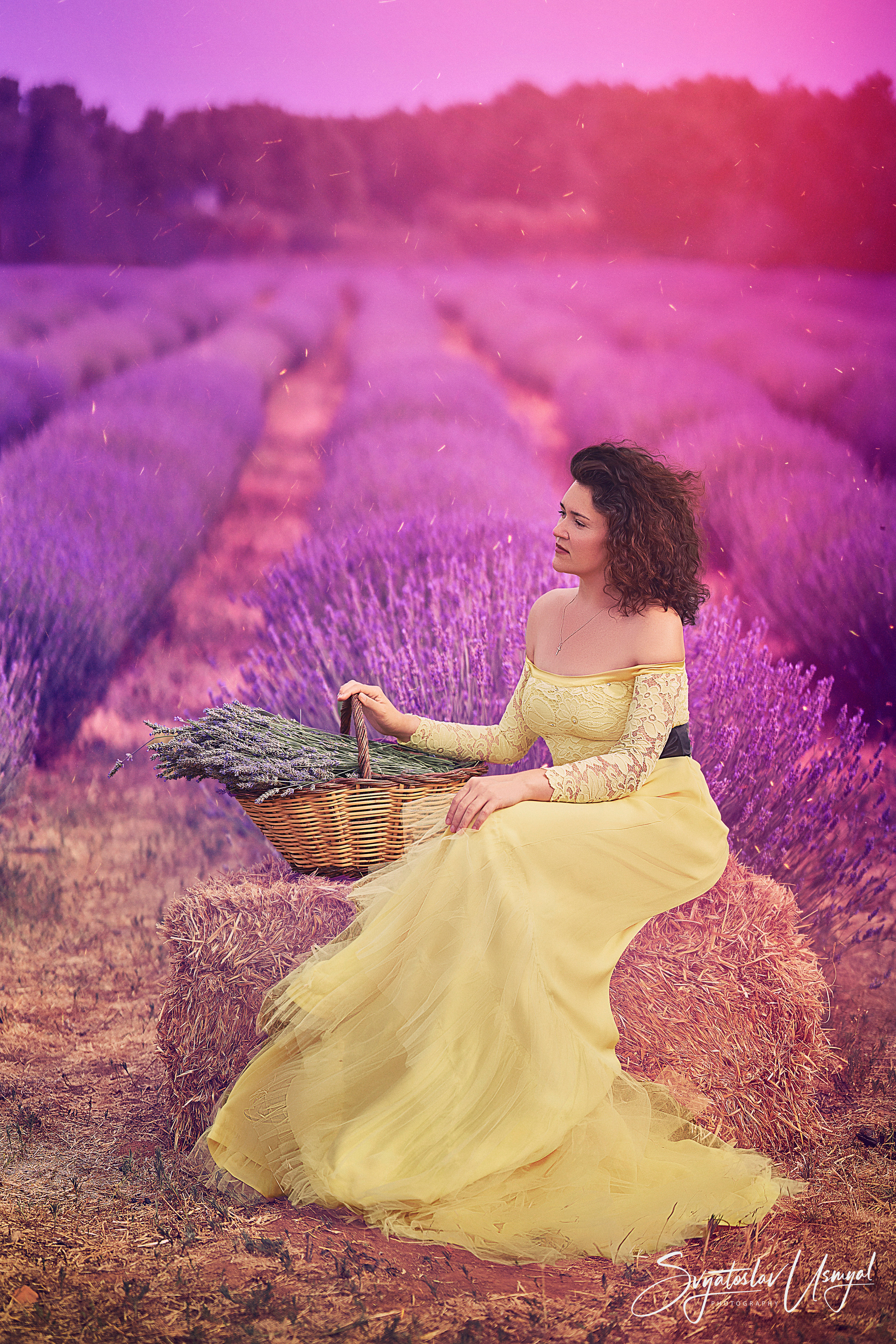 Lavender fields. Photographer @ Studio | Barcelona — Svyatoslav Usmyal