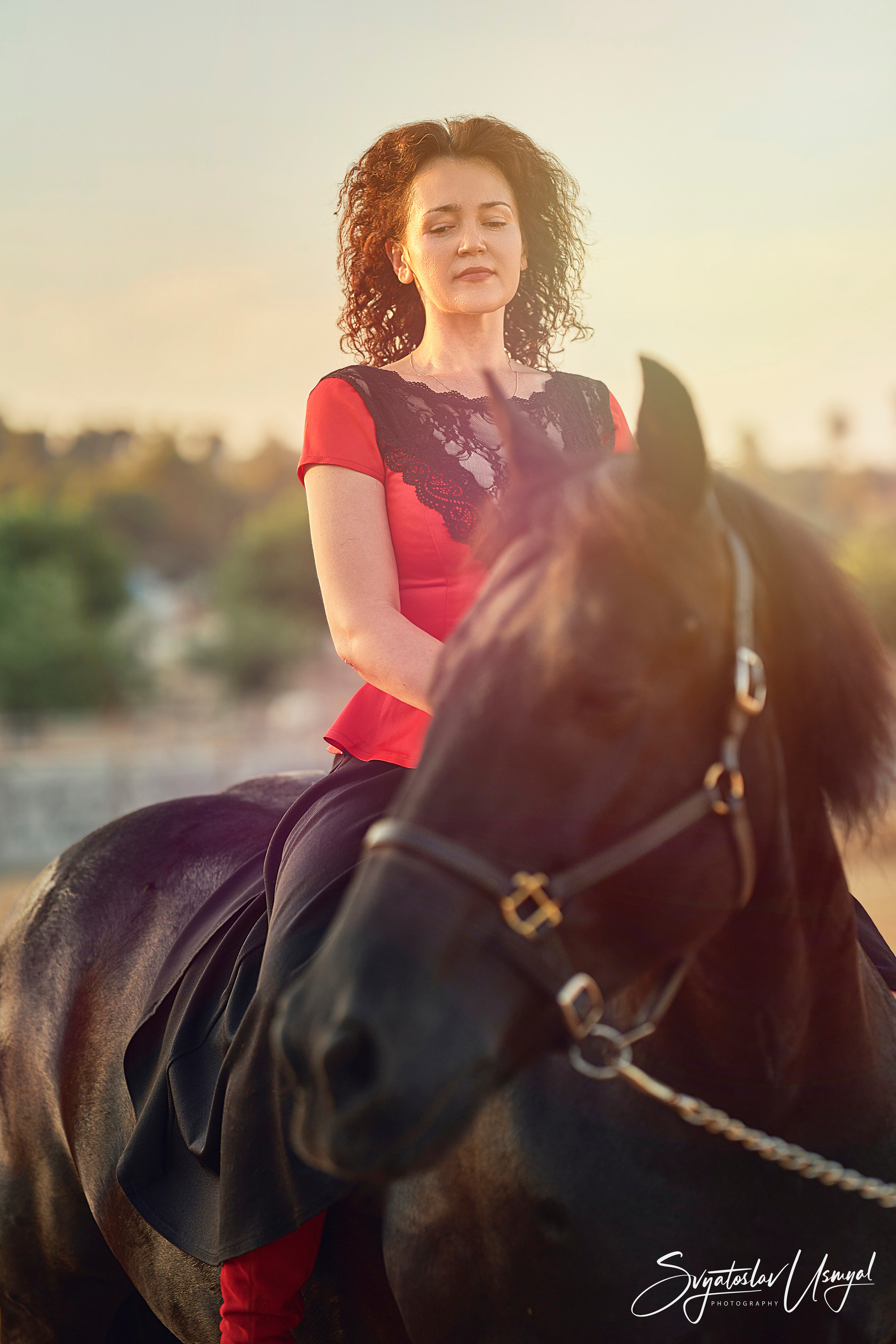 Photo shoot with horses. Inicio