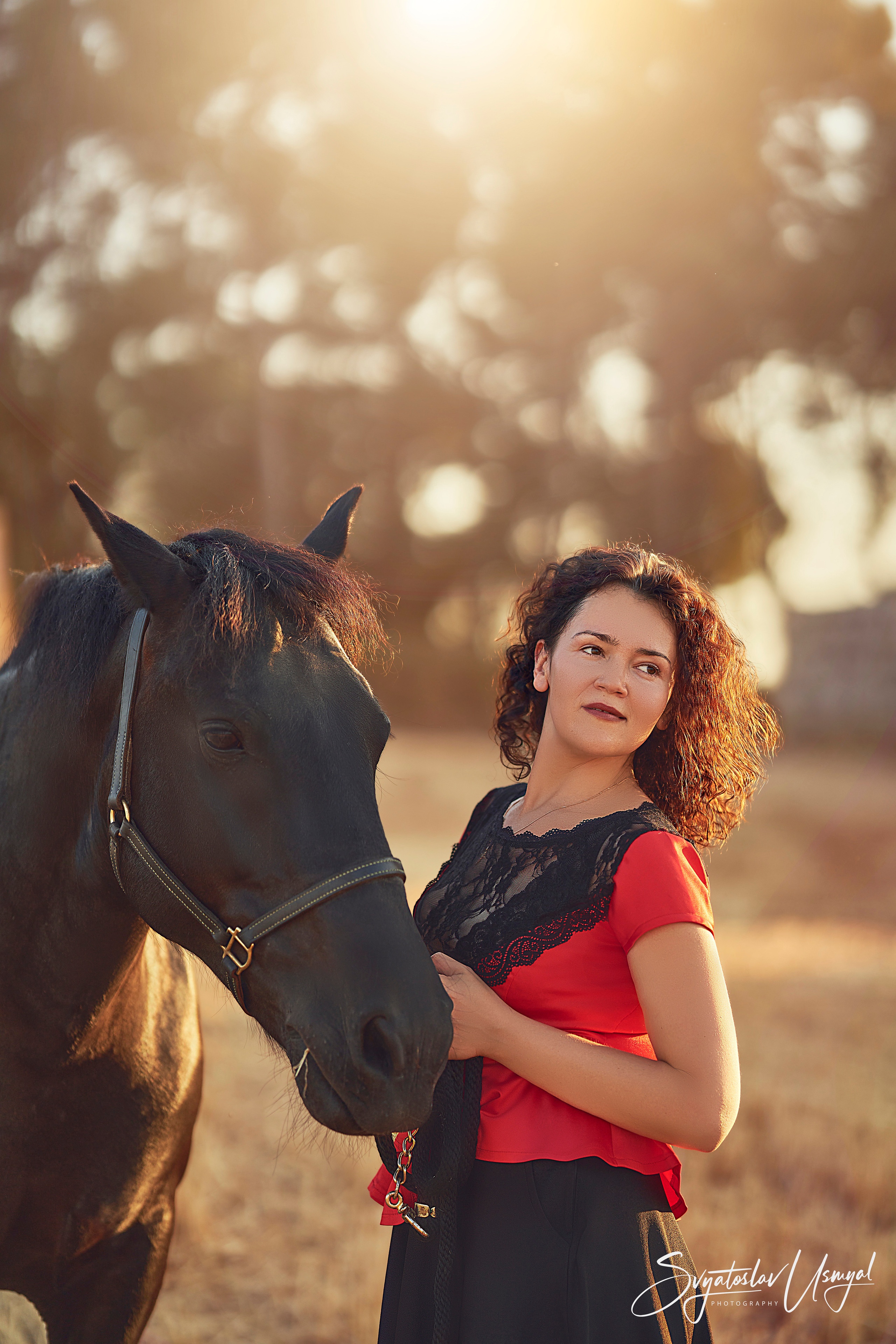 Photo shoot with horses. Inicio