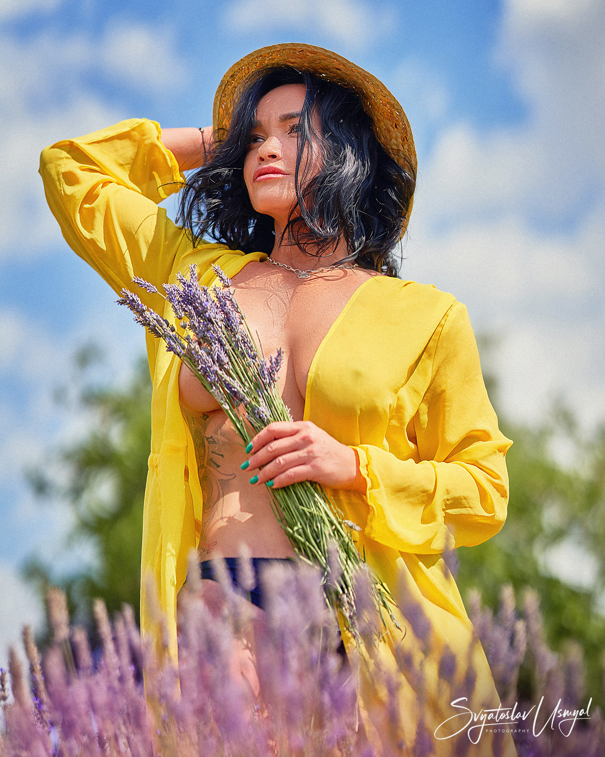 Lavender mood. Inicio