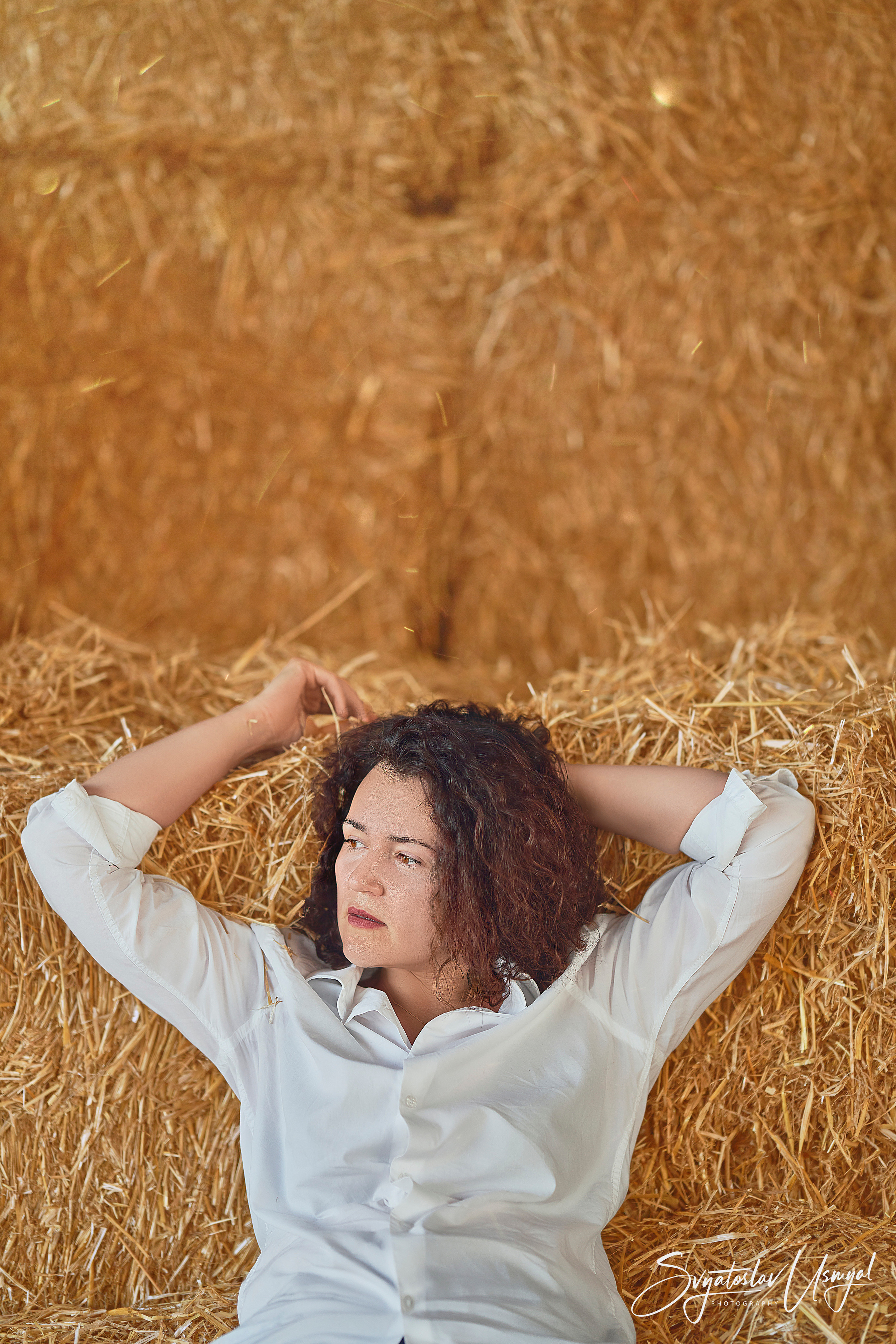 Photo shoot with horses. Inicio