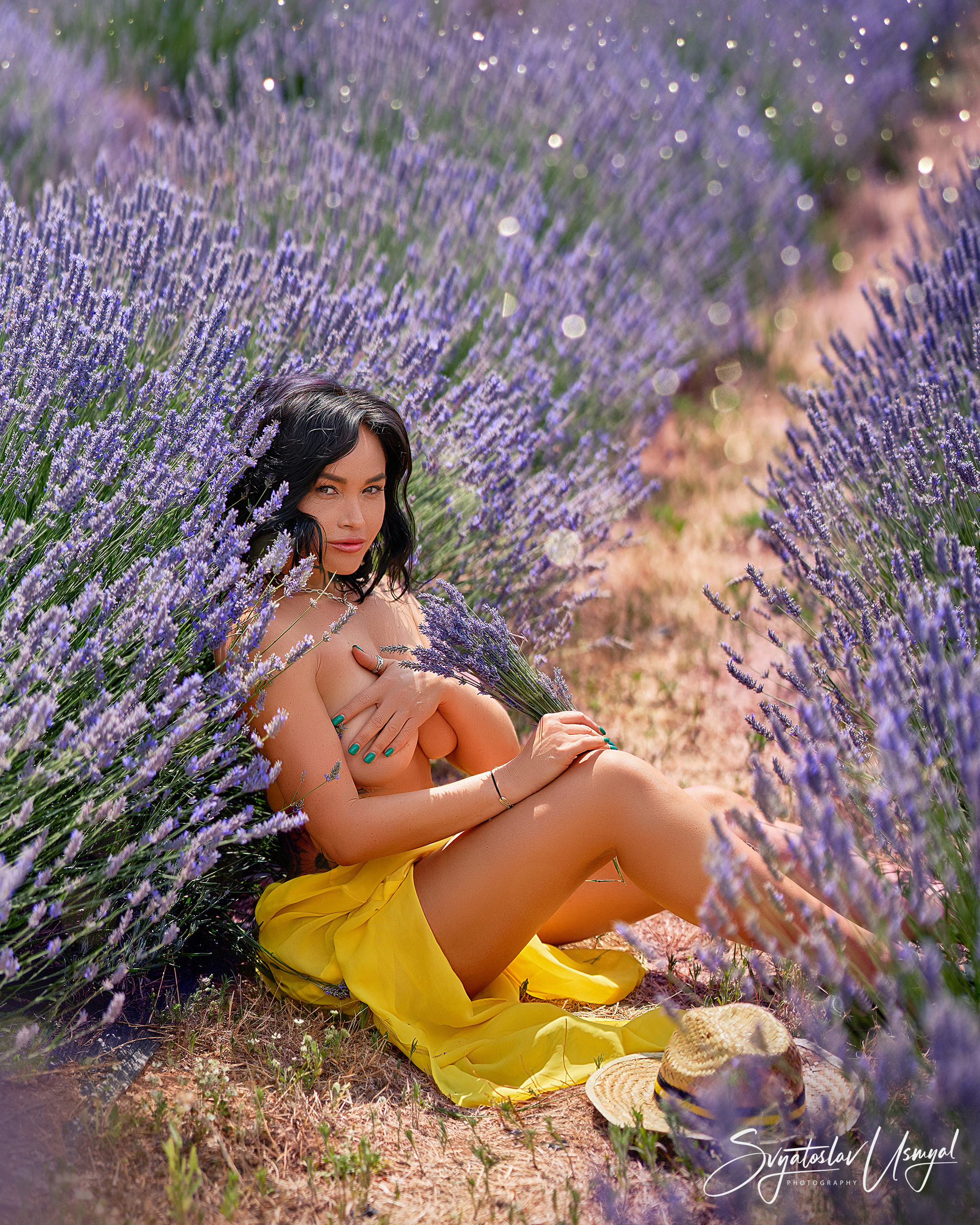 Lavender mood. Inicio