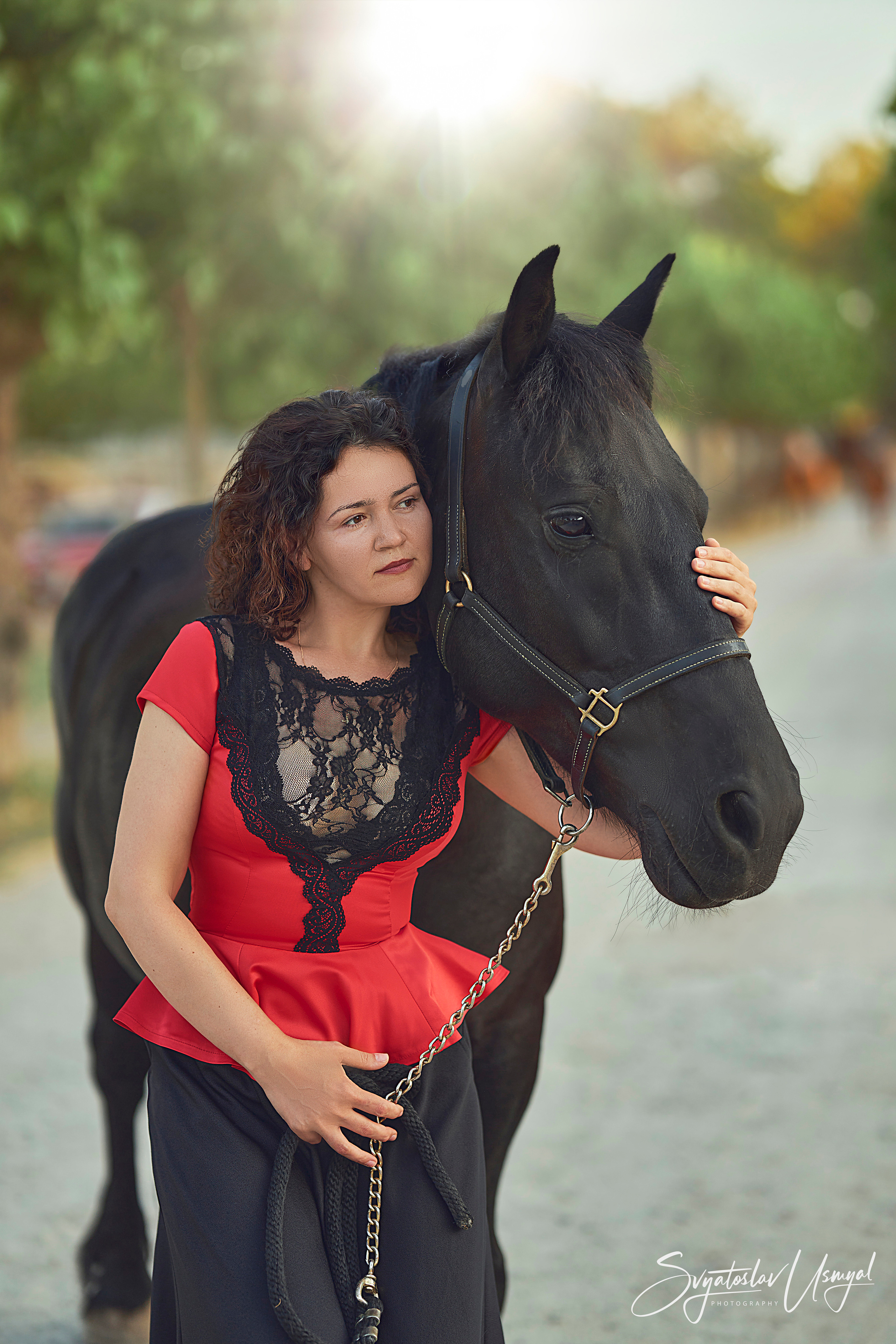 Photo shoot with horses. Inicio