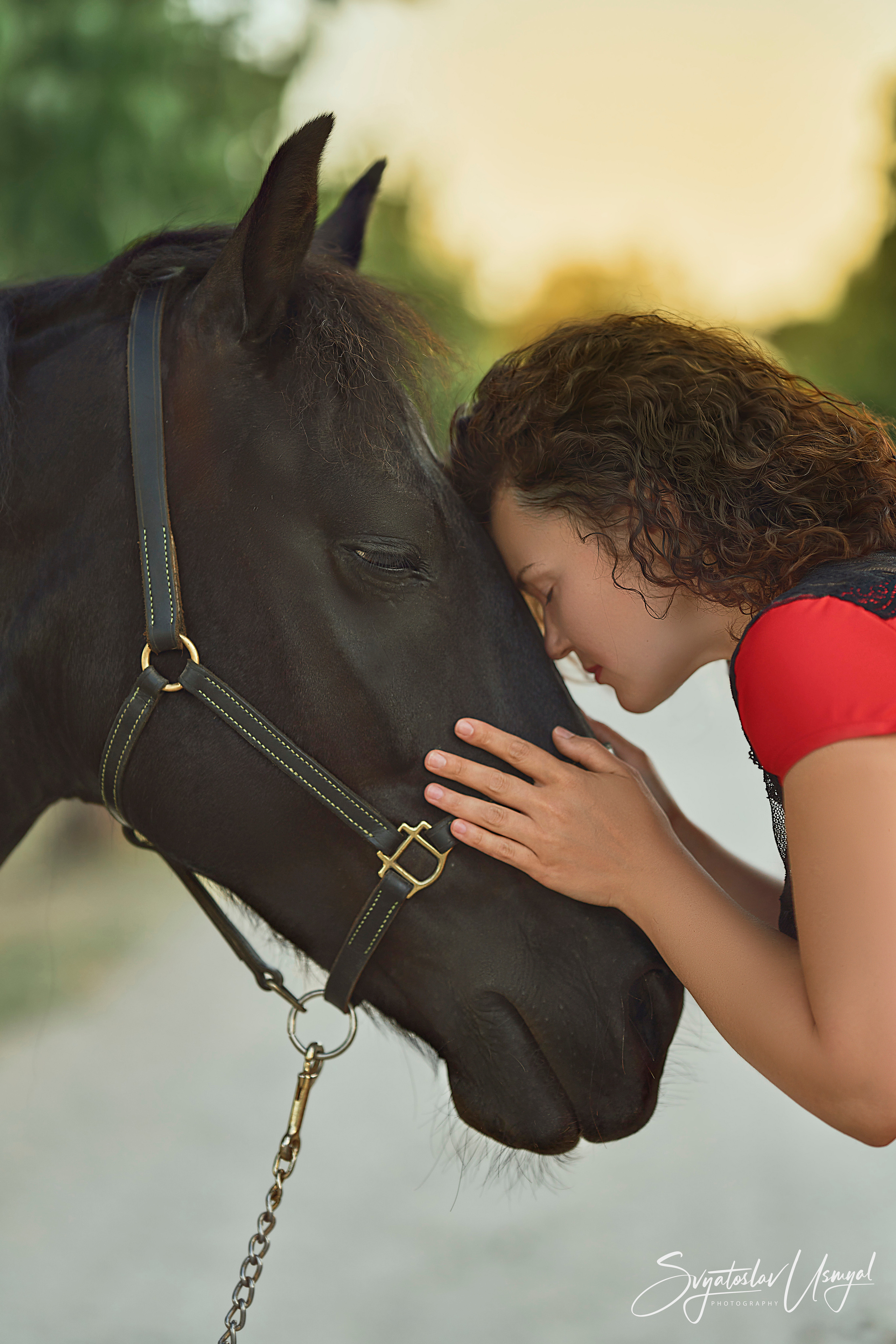 Photo shoot with horses. Inicio