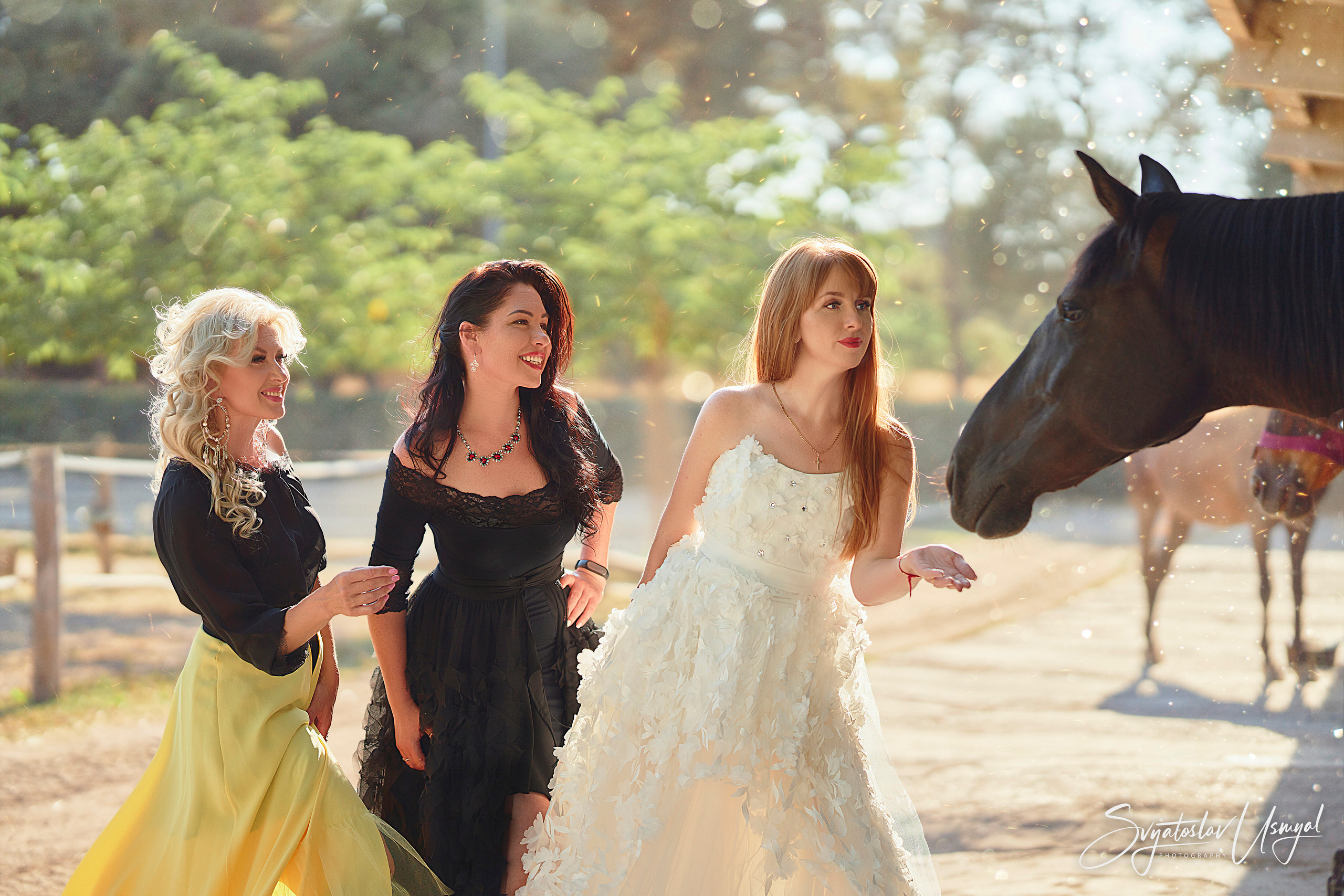 Photo day. With horses. Inicio