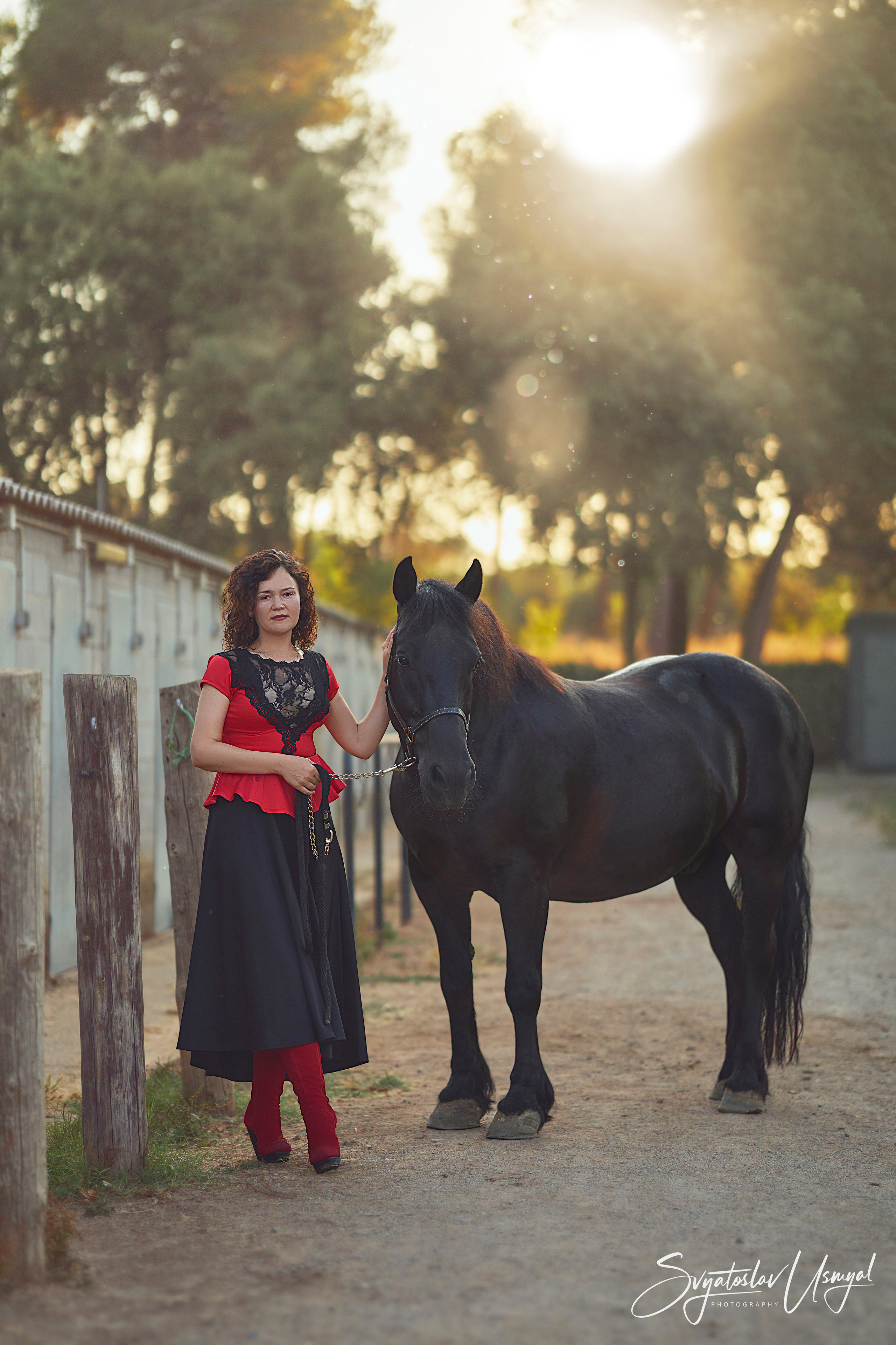 Photo shoot with horses. Inicio
