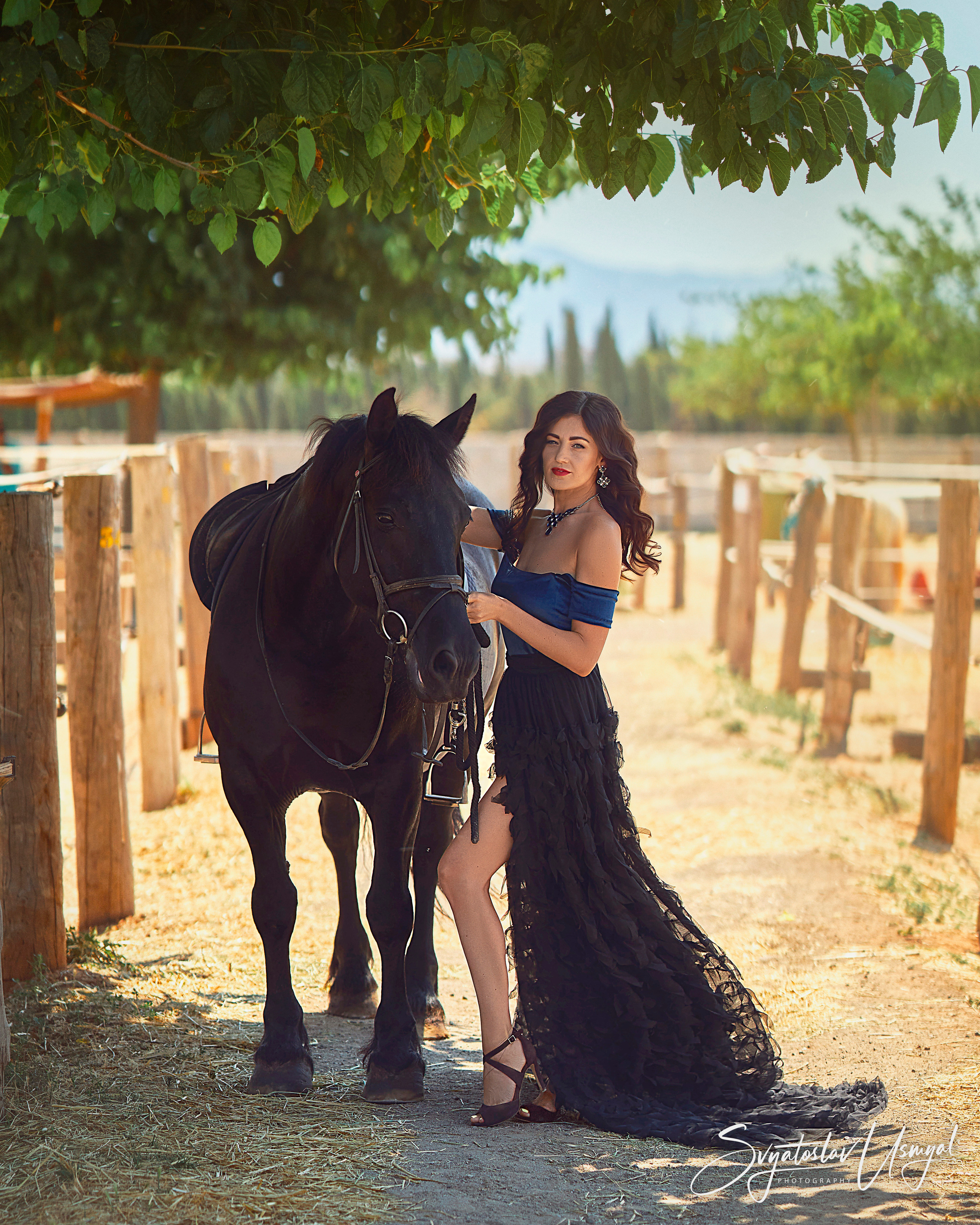 Photo day. With horses. Inicio