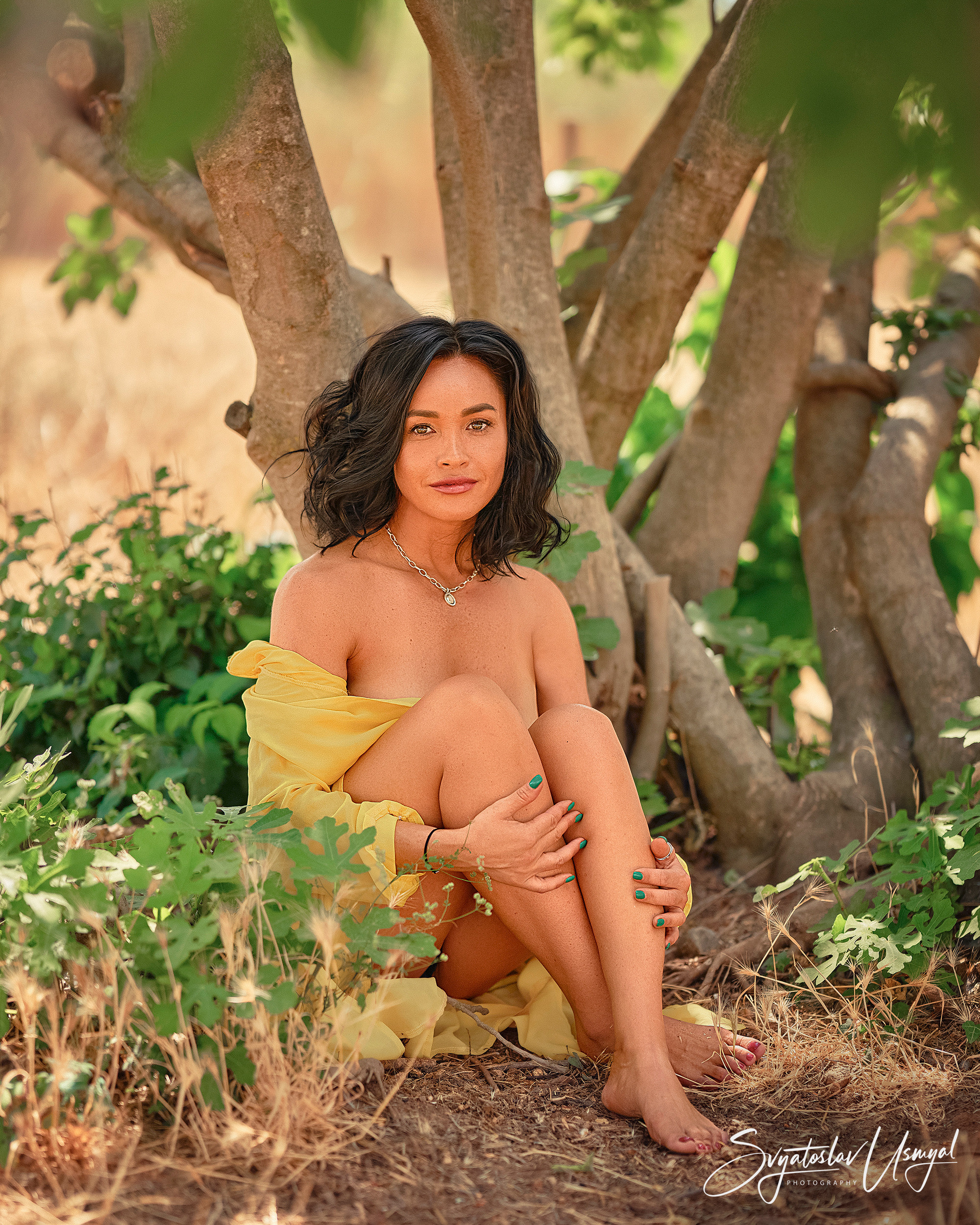 Lavender mood. Inicio