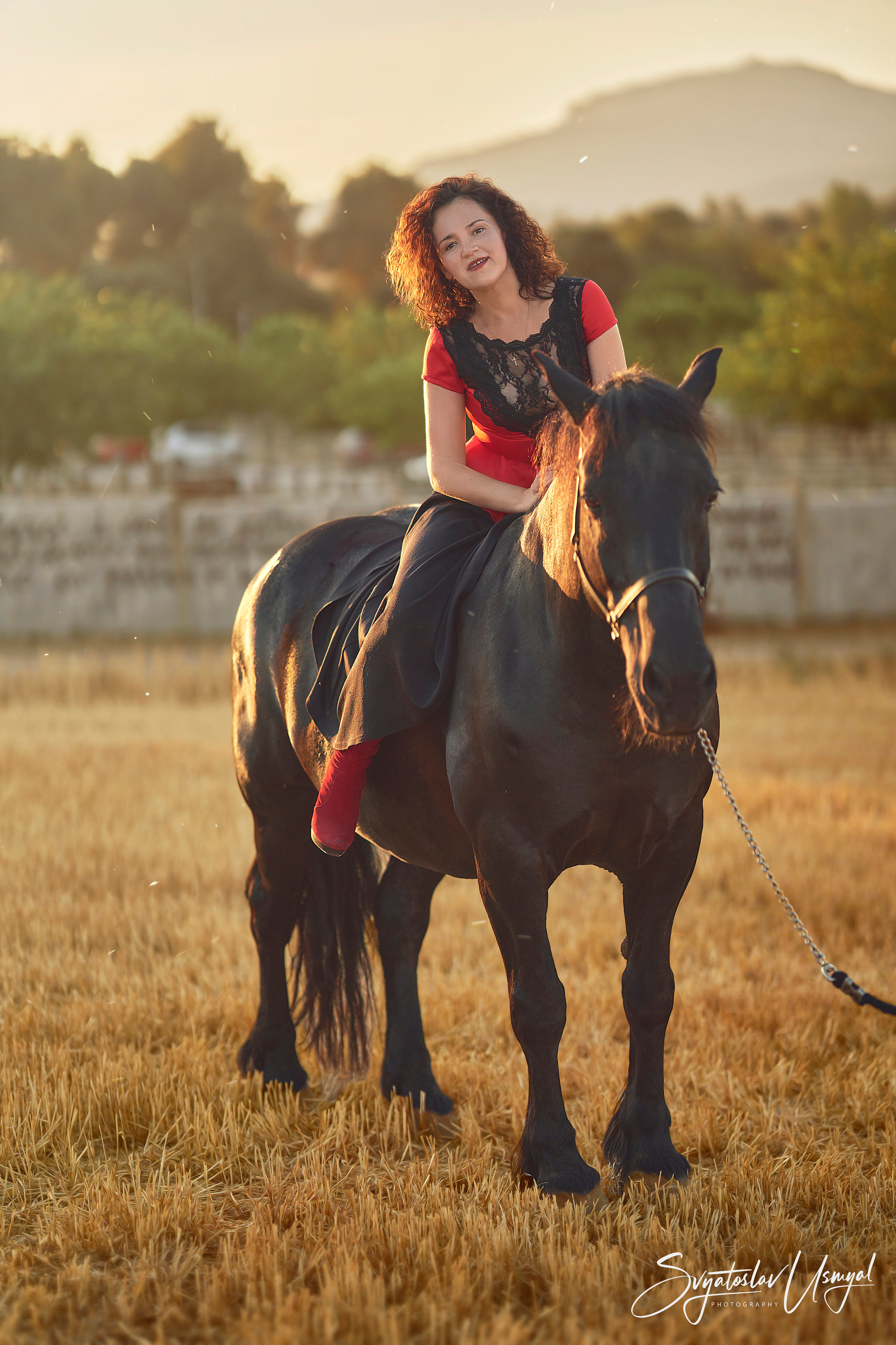 Photo shoot with horses. Inicio