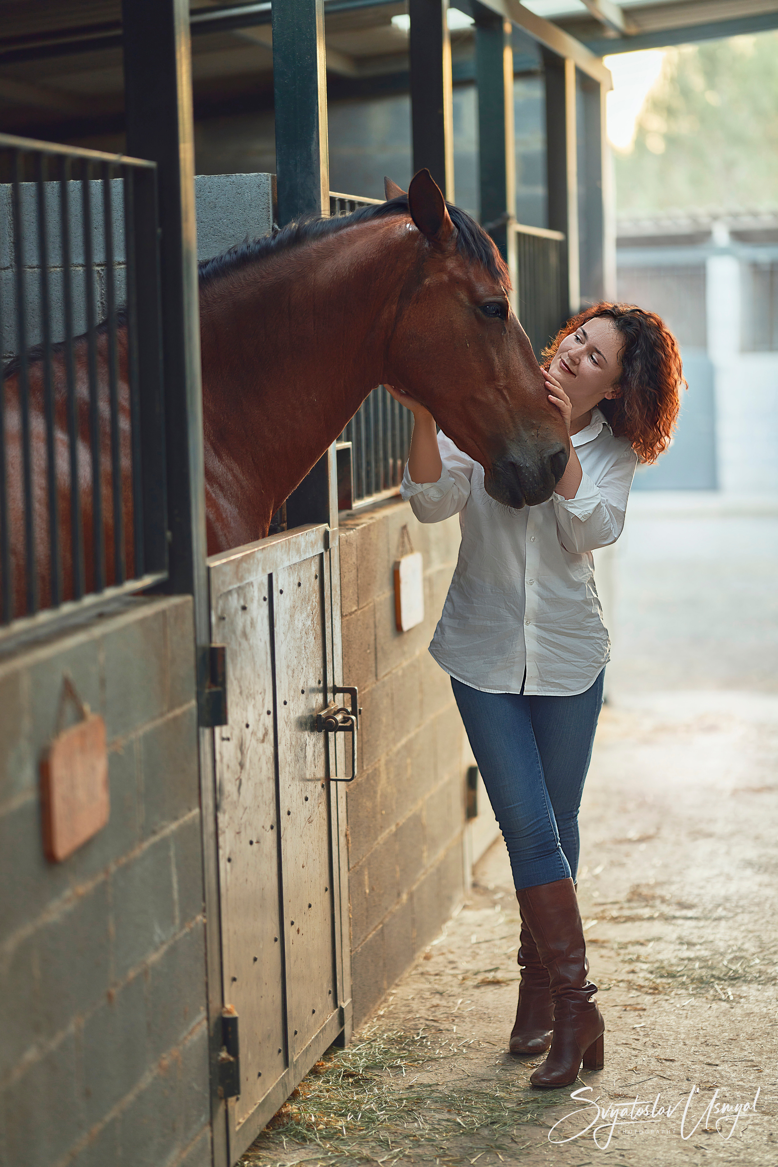 Photo shoot with horses. Inicio