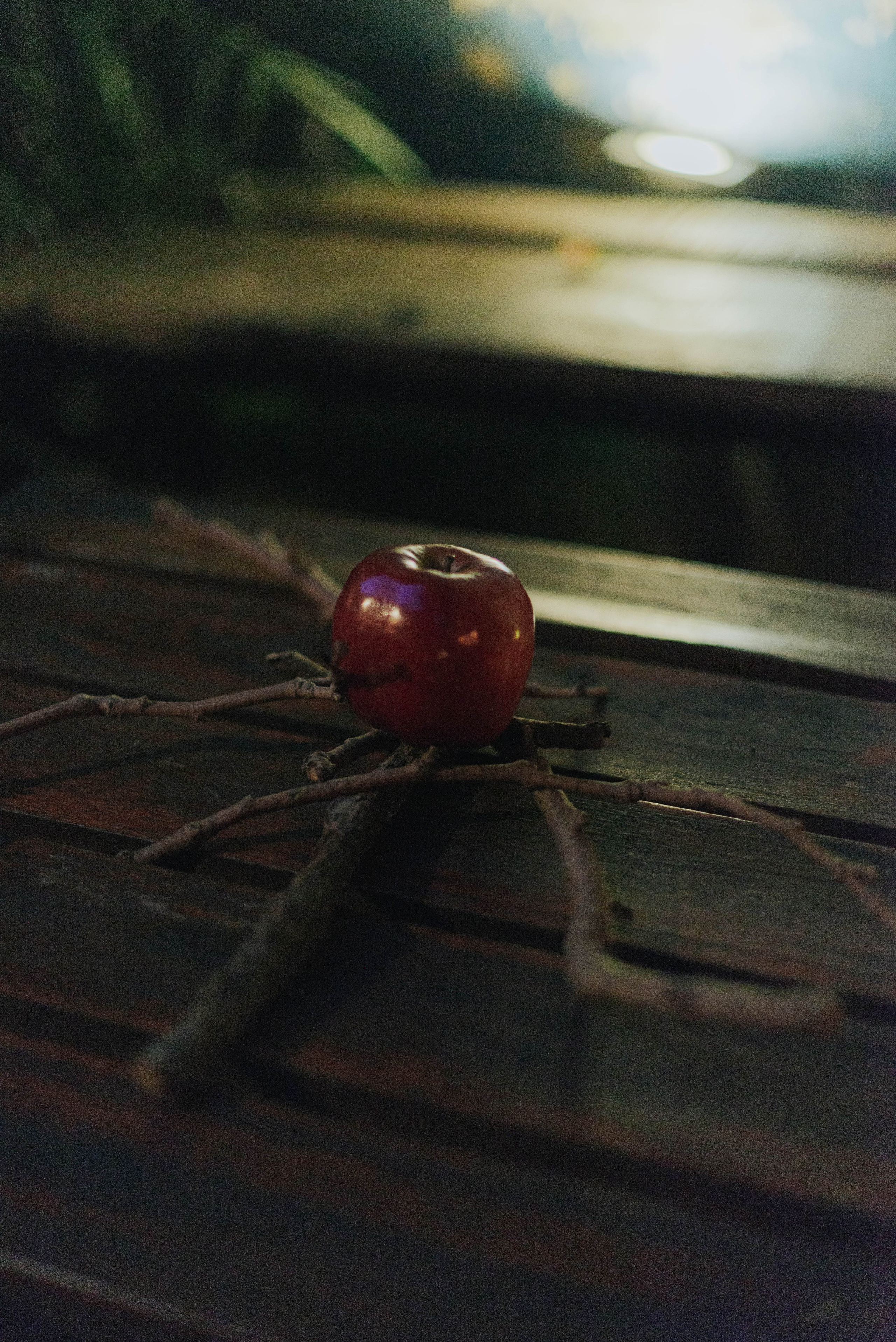 Ladno.cooperativa. Photographer @elmirkami in the city of Buenos Aires