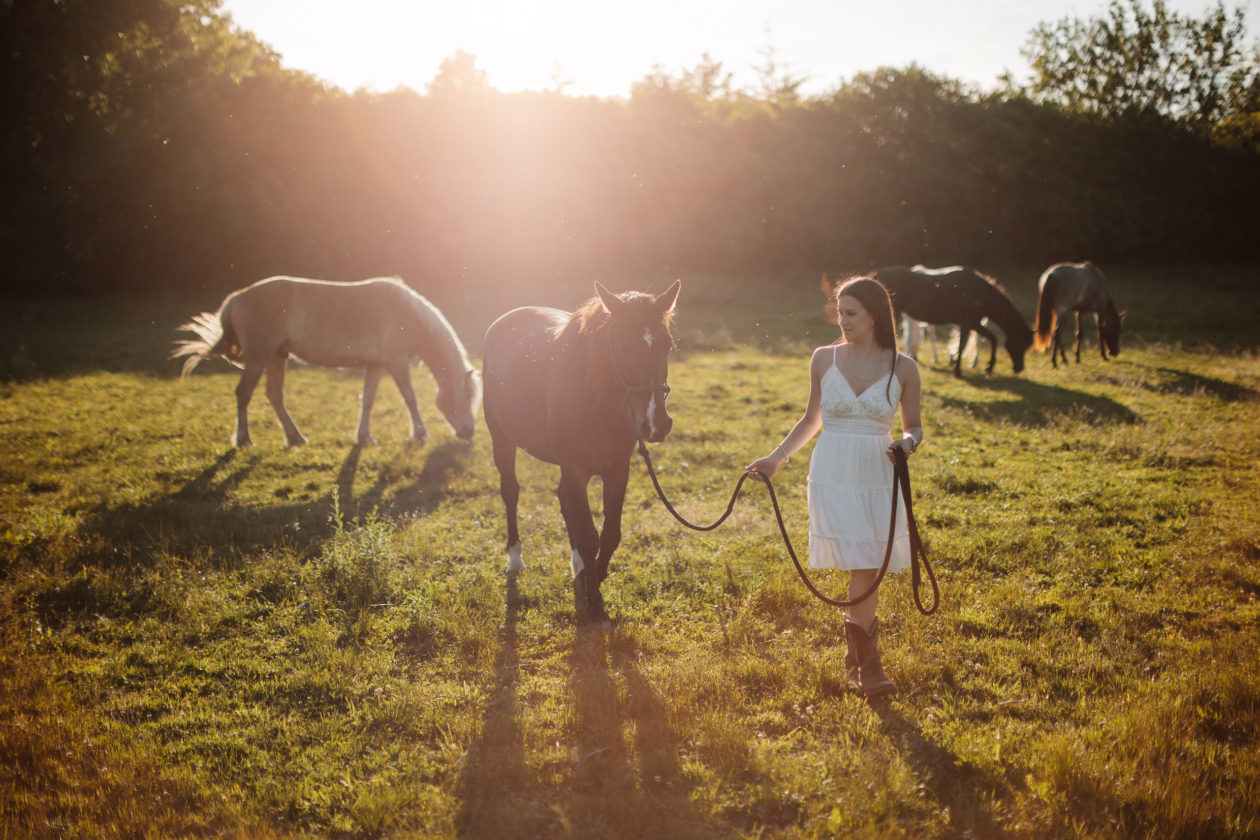 30.05.24 Family Photoshoot. Wedding family event photographer in Chicago Nick Yushevich
