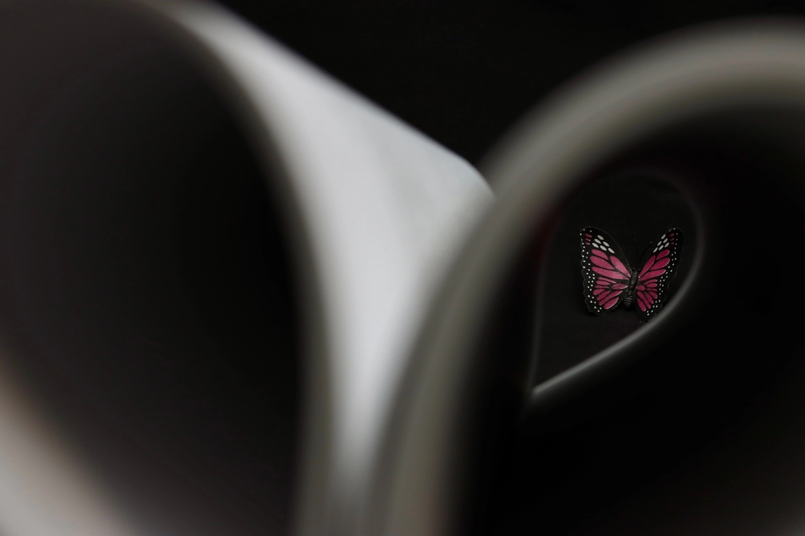 Предметная съемка. Фотограф Таня Уорд Бидефорд Пермь Эксетер Плимут Лондон