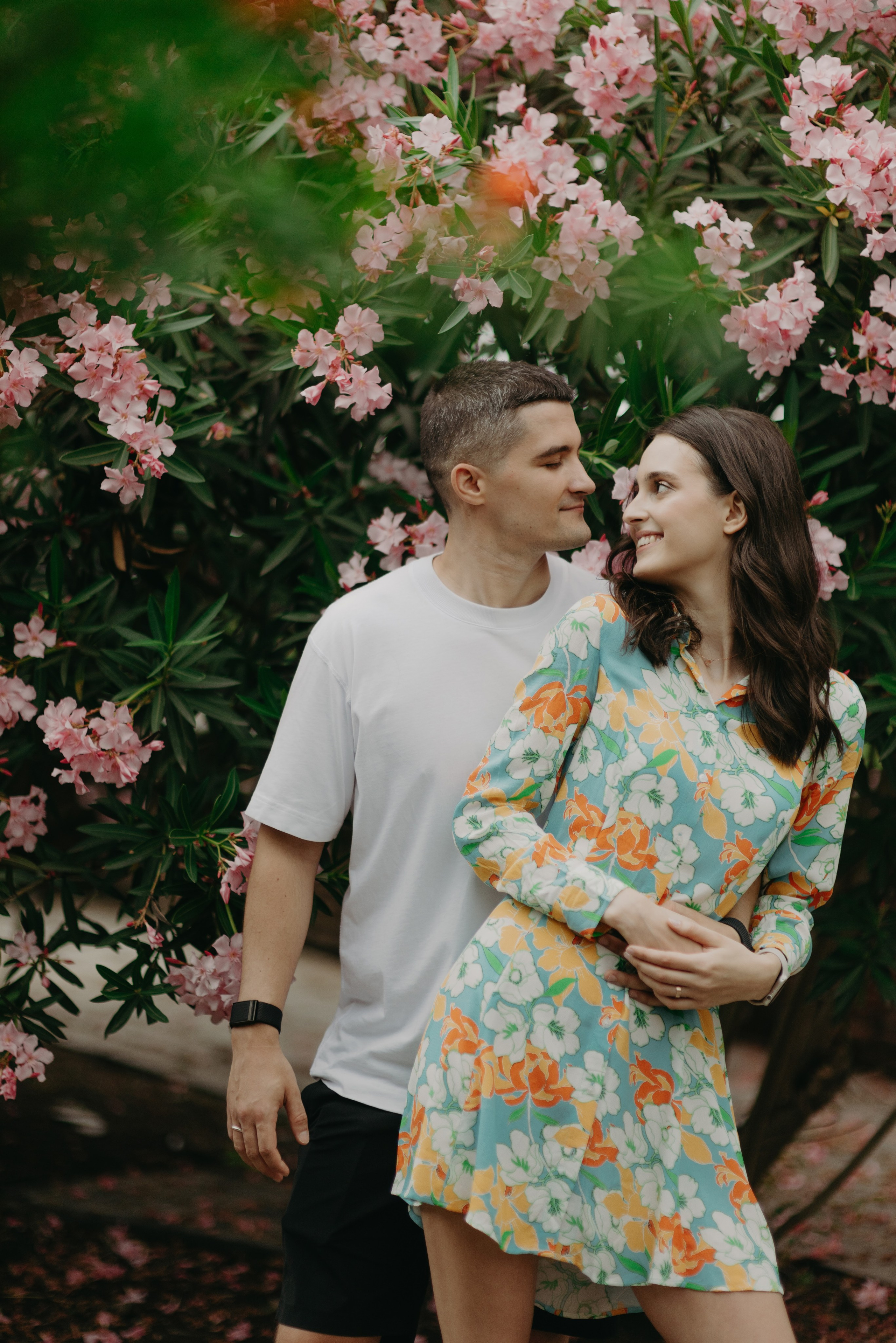 Tbilisi Summer LoveStory. Главная