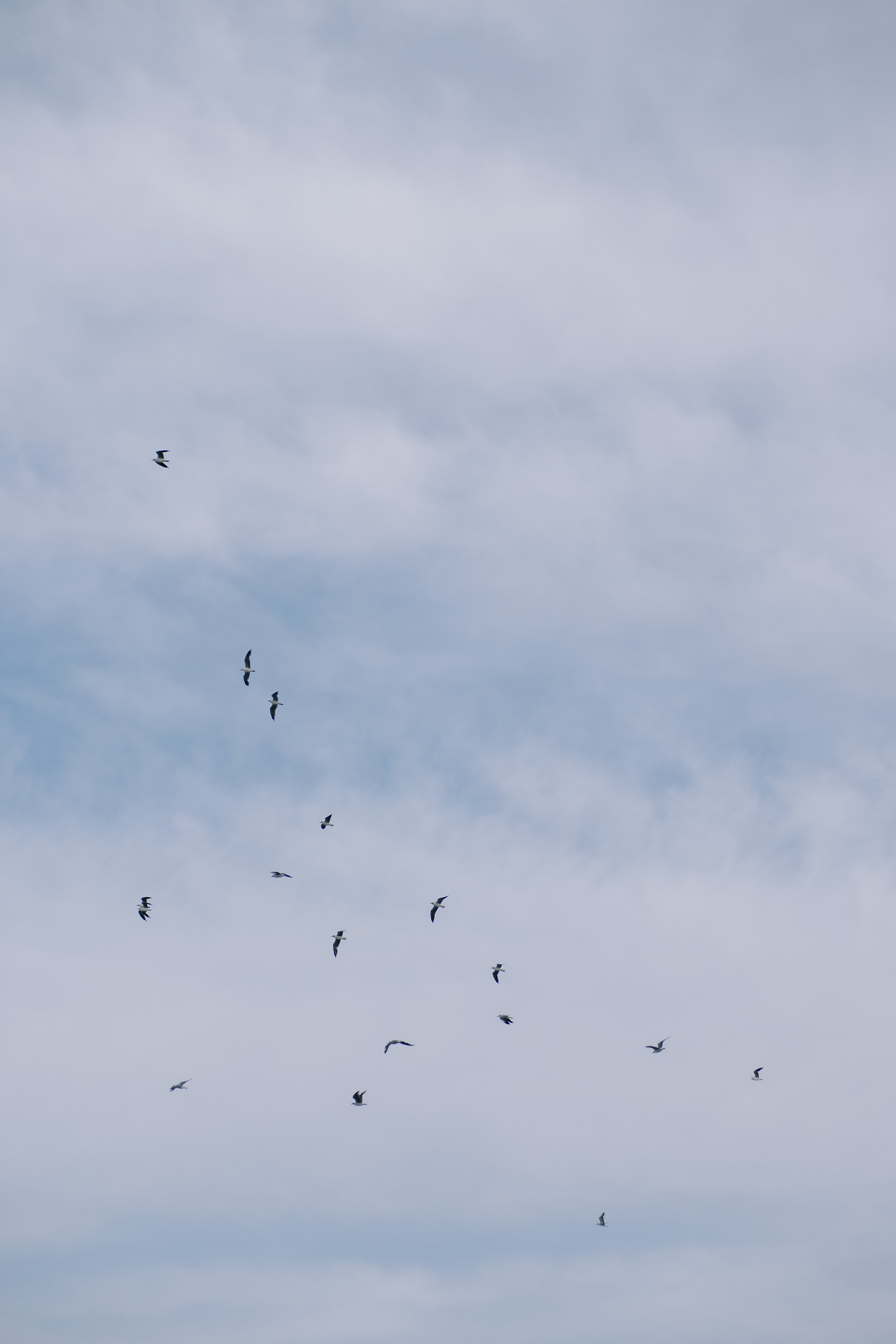 Samilly e Magno. Larissareisfotografa