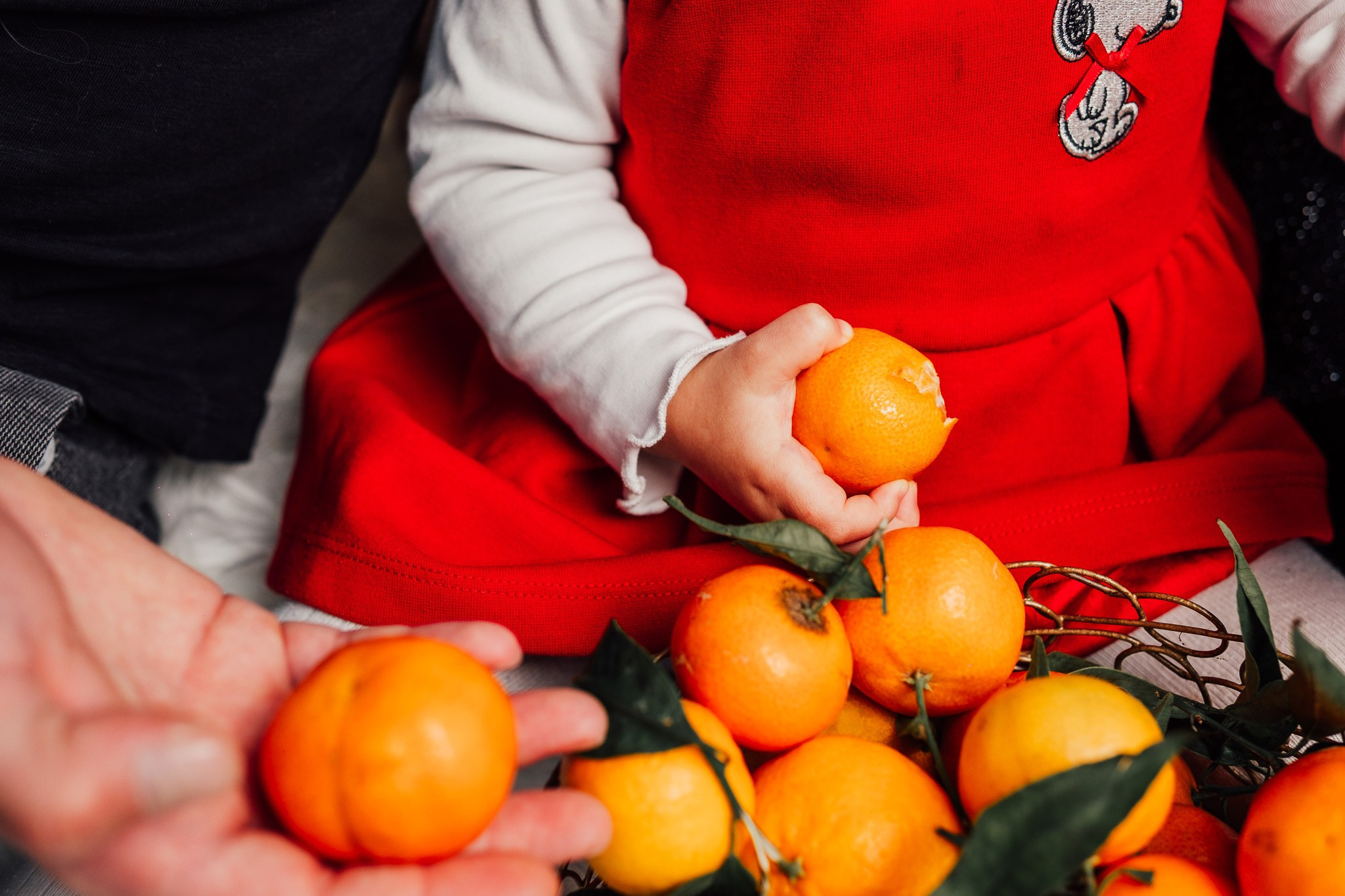 Natale. Grosu Photography