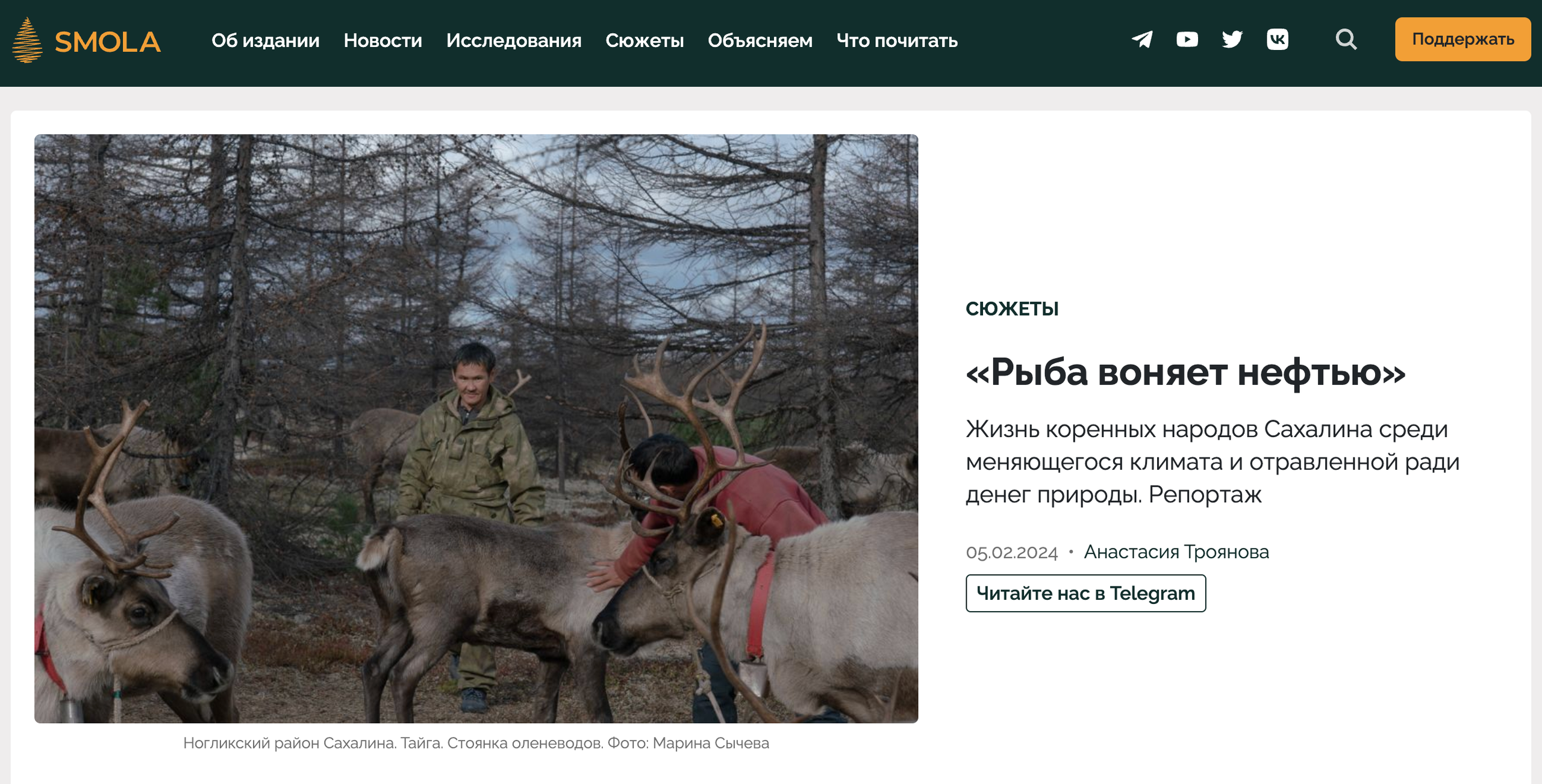 Publications. Marina Sycheva