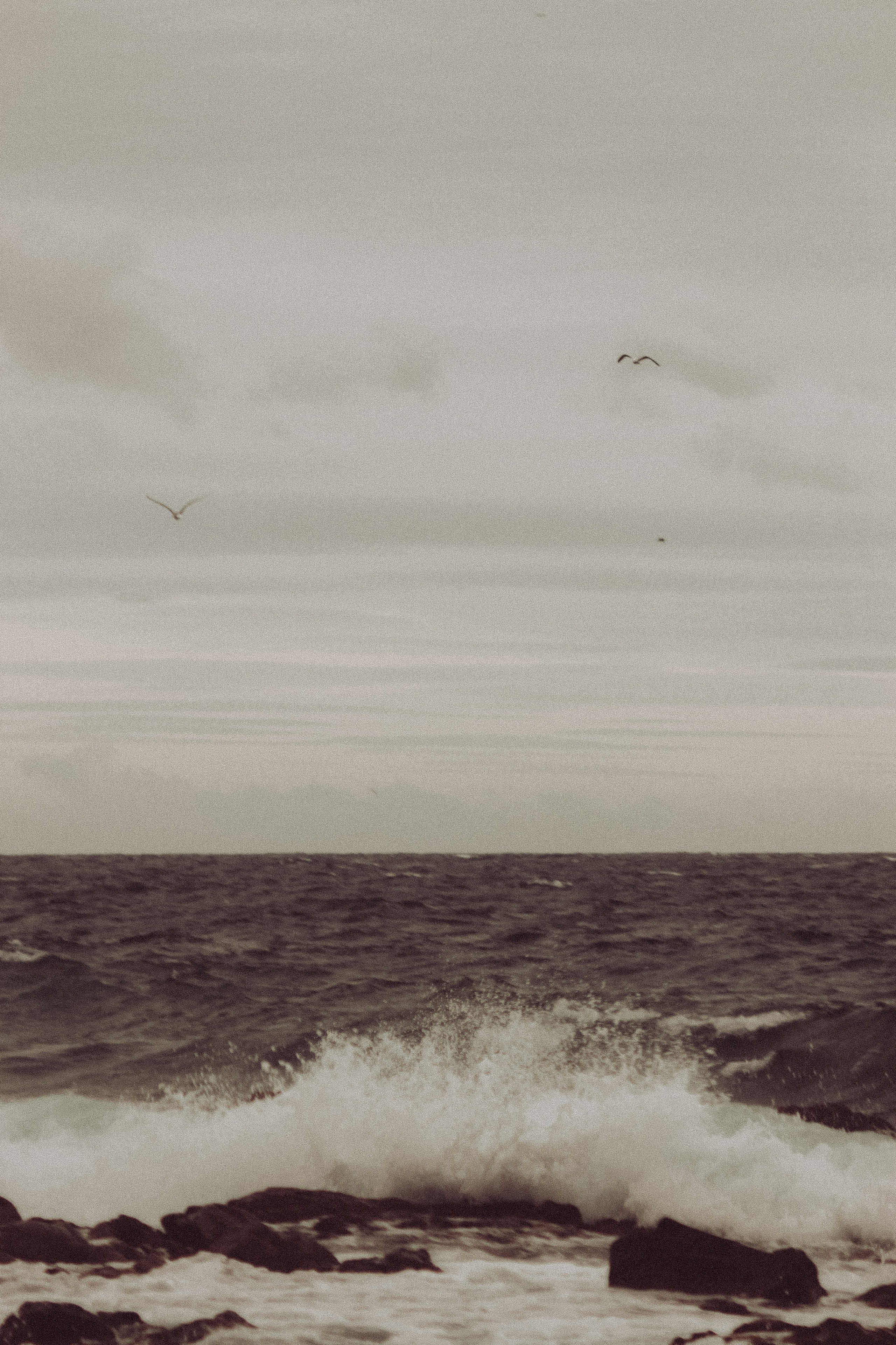 La Coudoulière, Saint Mandrier. Photographe à la Seyne sur Mer, Var