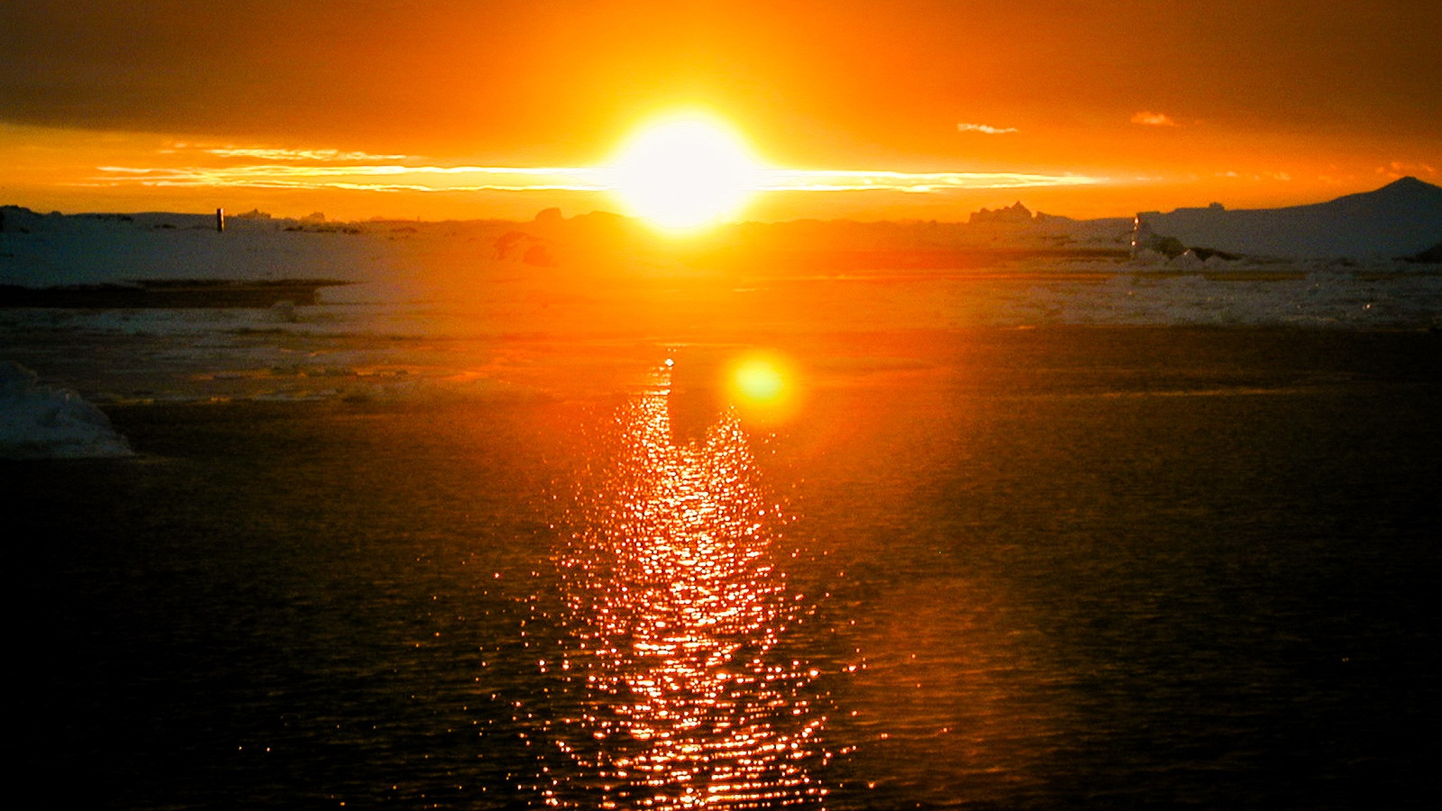 ANTARCTICA / 2004. Reportage concert portrait photography in the San Francisco Bay Area
