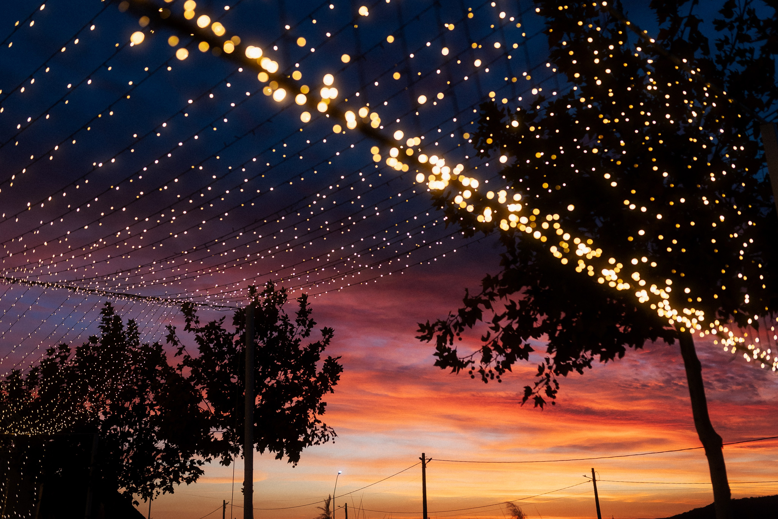 Fotograf pentru nuntă – imagini autentice ce surprind momentele importante ale zilei