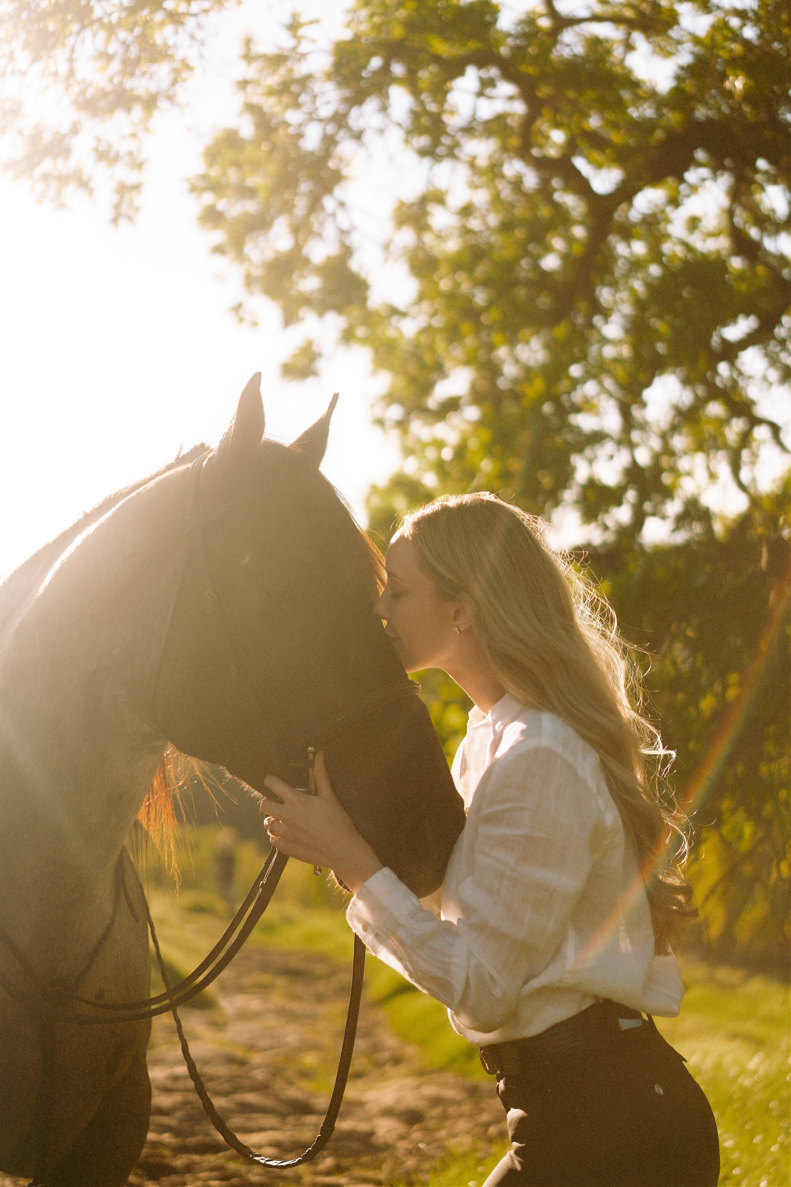 Engagement with Horses, Napa, Northern California. Wedding Photography & Videography Team in California, Los Angeles, San Francisco, San Diego and Travel