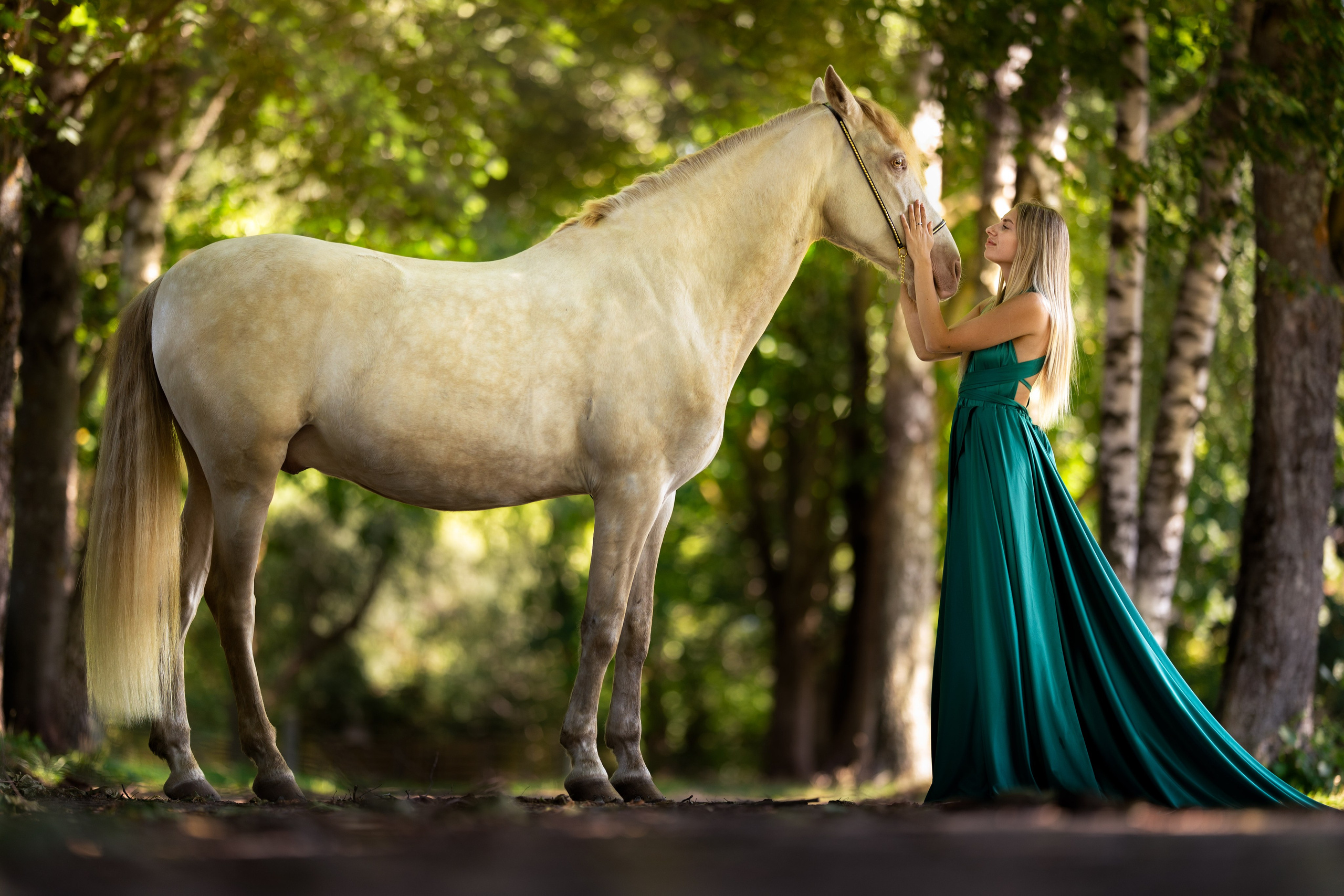 Horse Experience. Sports and portrait photographer in Riga
