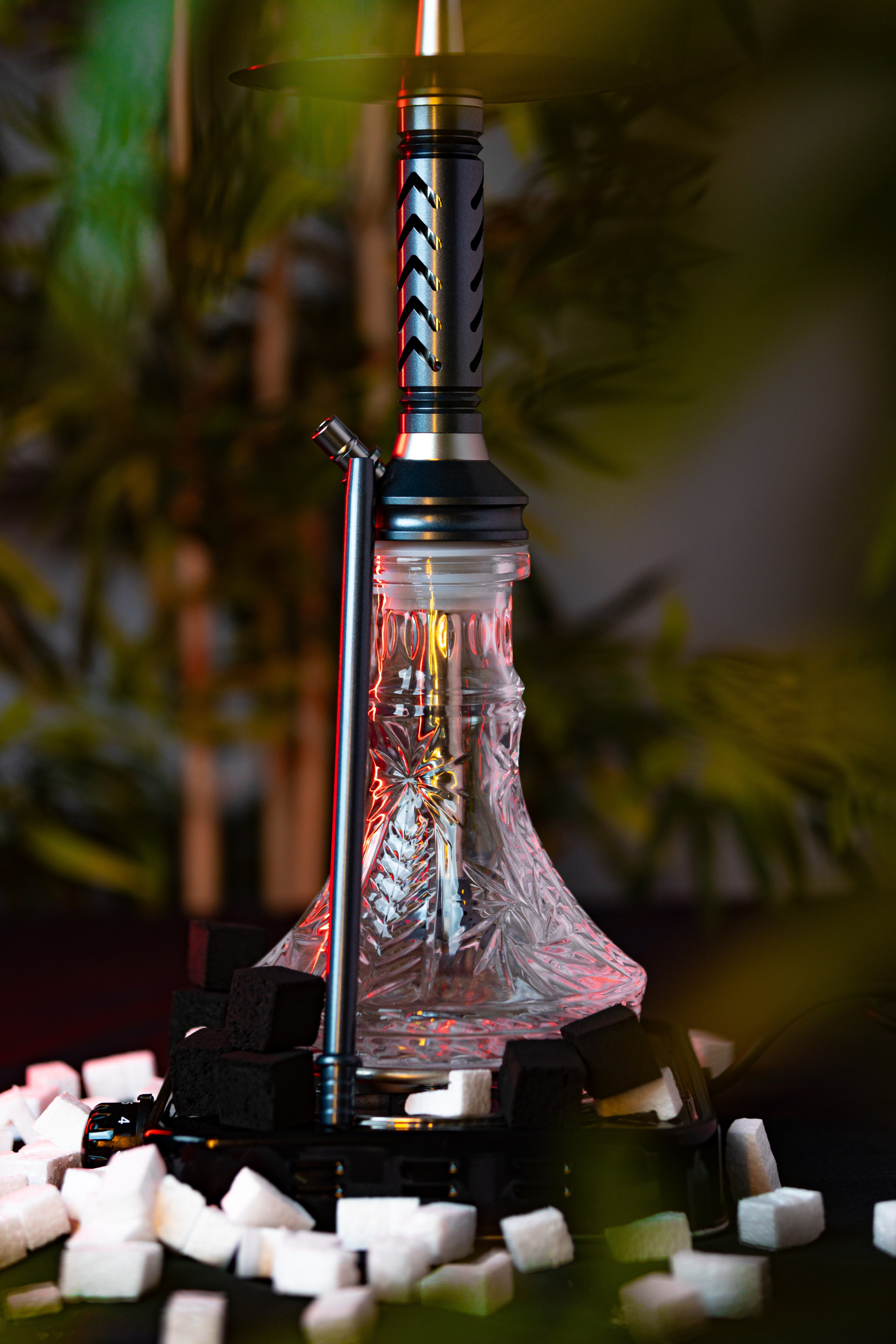 Cachimbas. Baby Beast