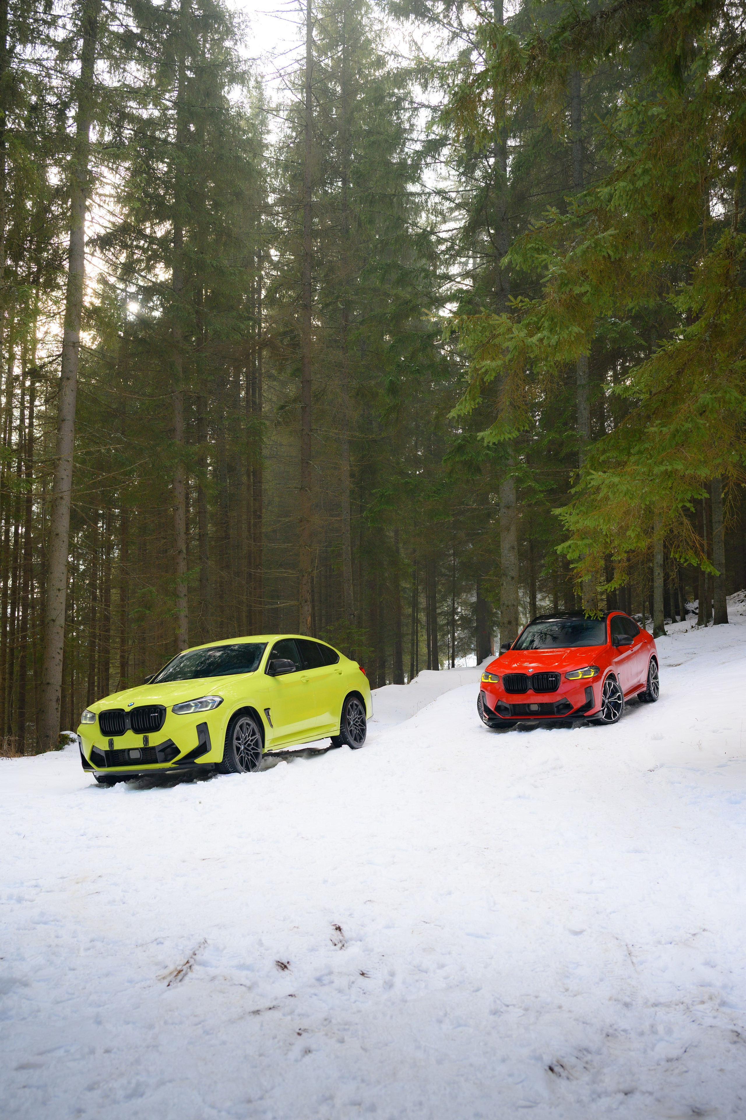 Workshop Bucovina 26 - BMW Apan Motors (Suceava). Adrian Visovan - Fotograf Iasi