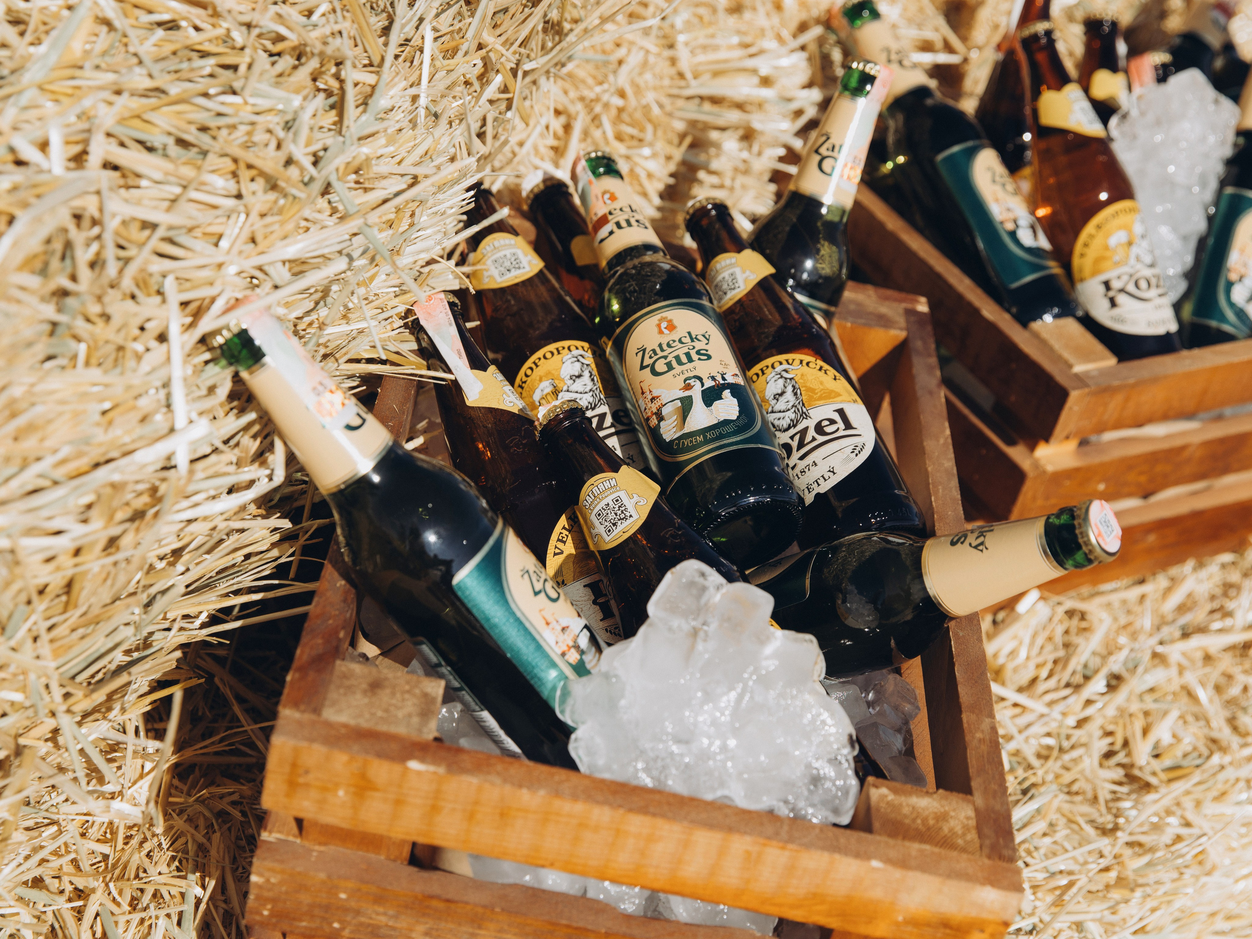 Там, где начинается «Мы». Валерия Вартанова. Фотограф