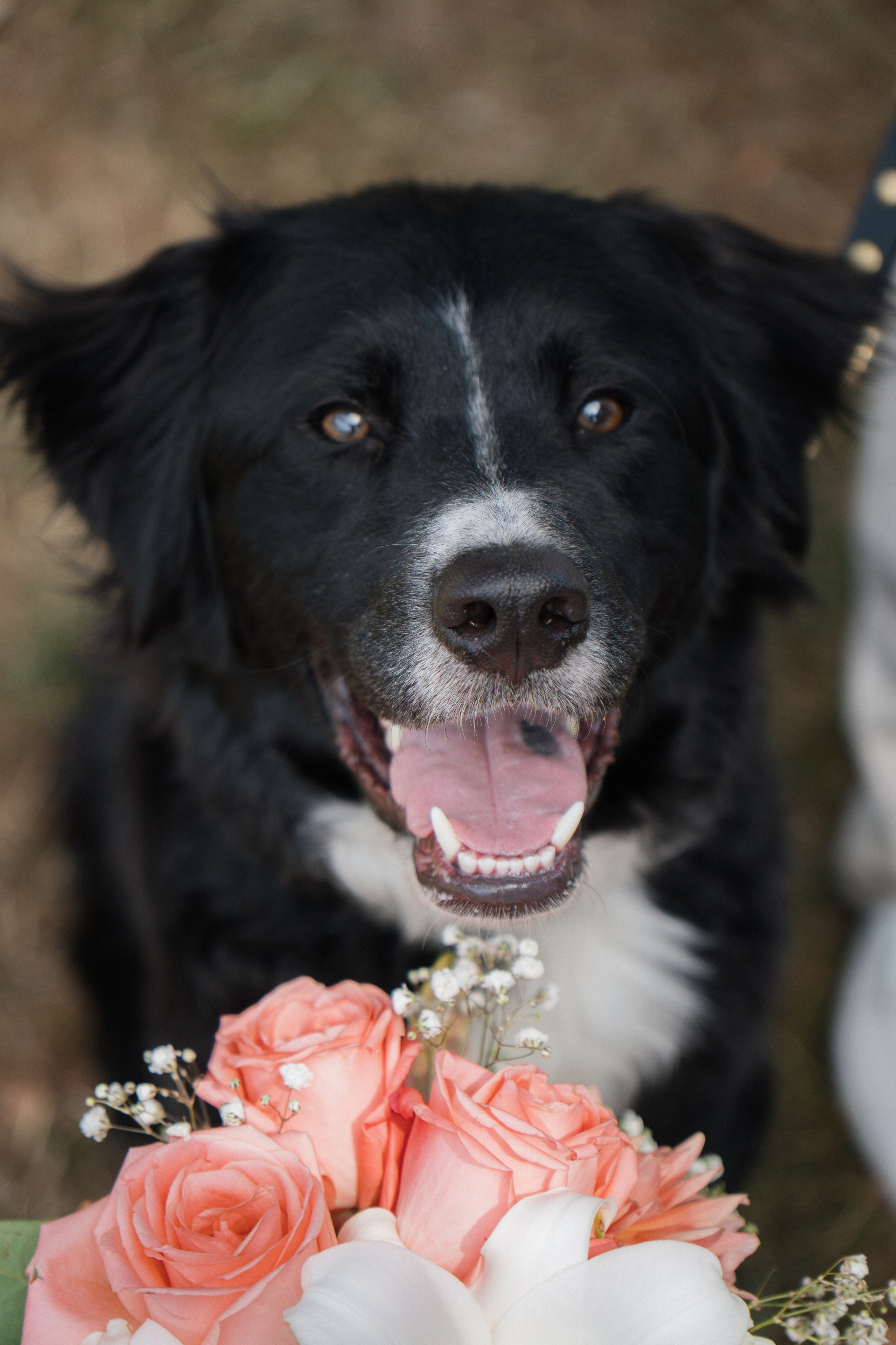Natalie and Fabricio | Wedding Portrait session. Photographer in Washington Sophia D
