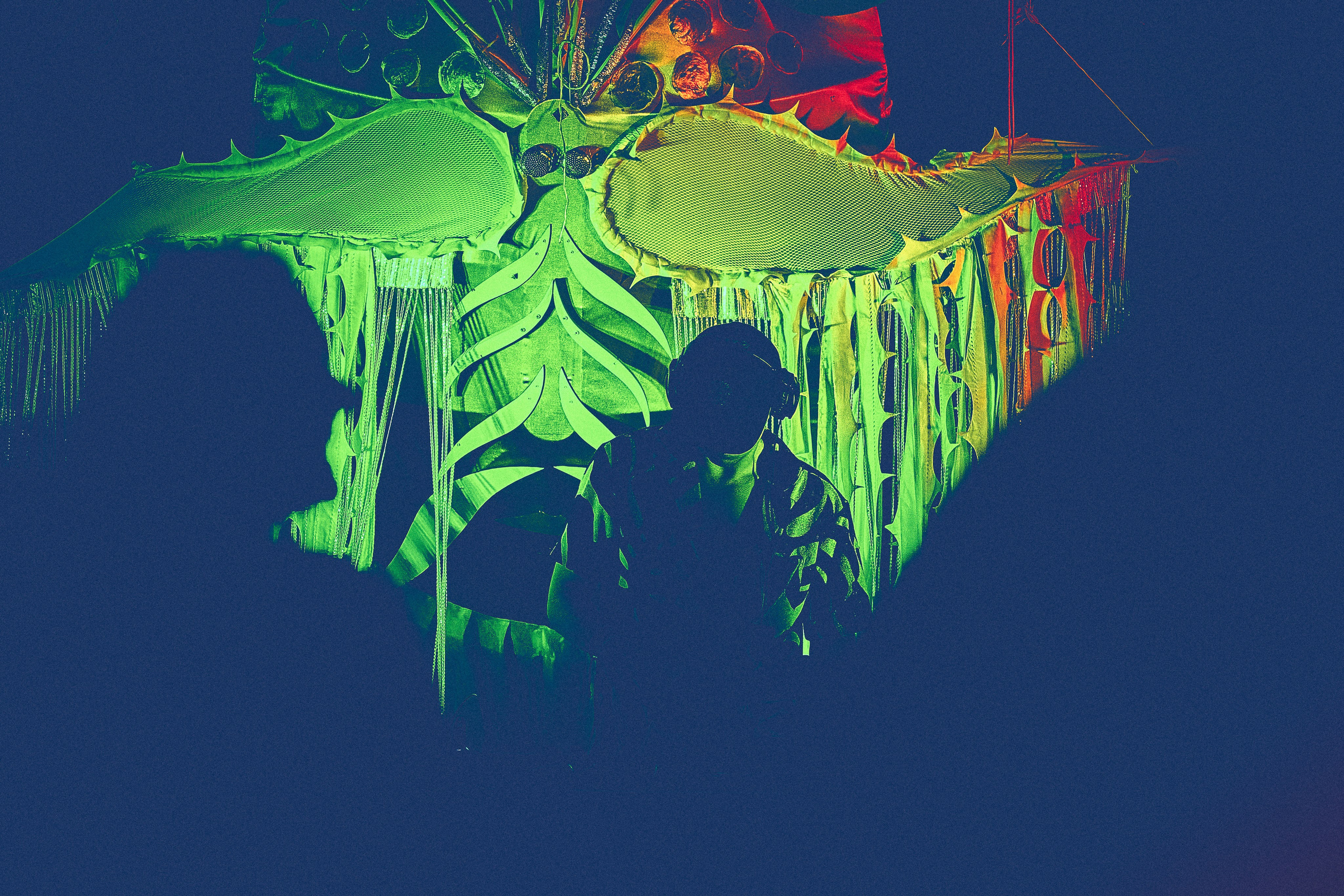 Organic Festival 2024. Андрей Шипилов — Фотография & Видеография