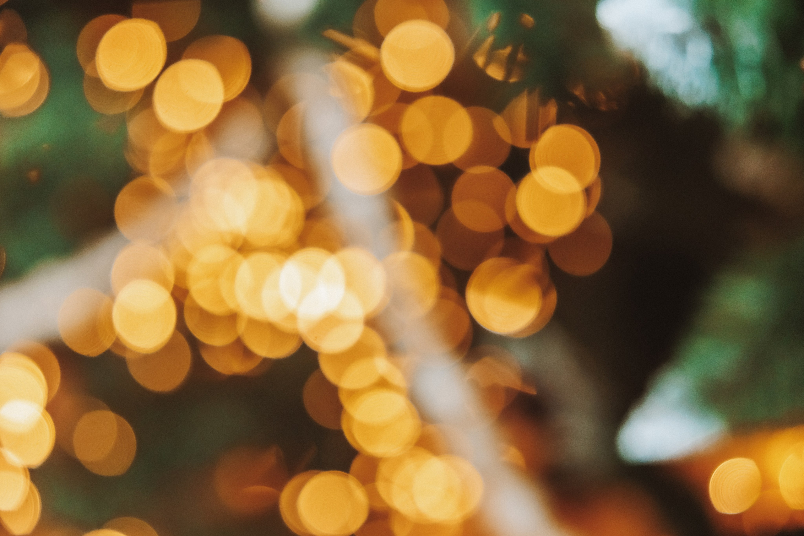 Декор 2023-24. Фотограф Ирина Йотова