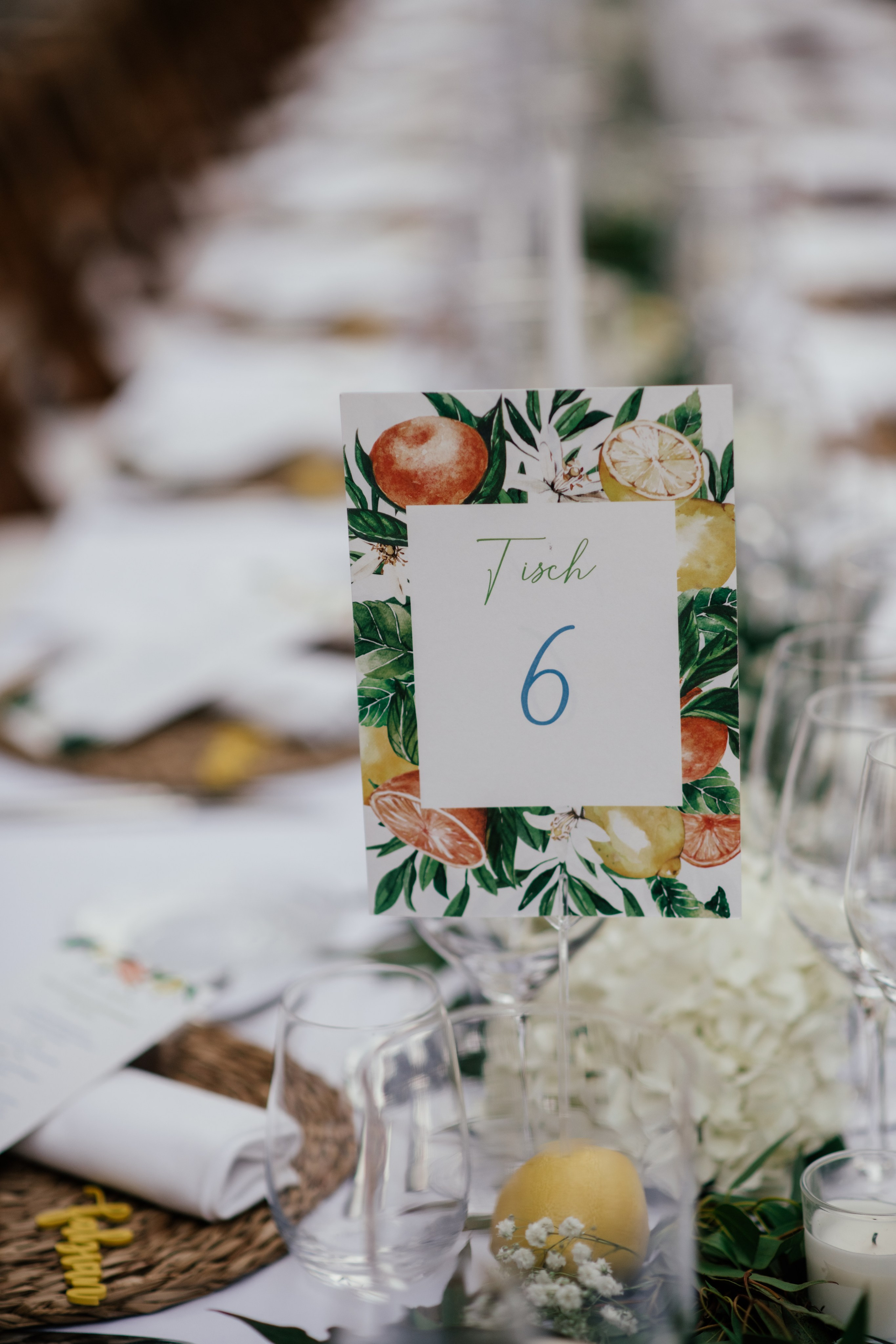 Alicia & Marc (Finca Marques de Montemolar)