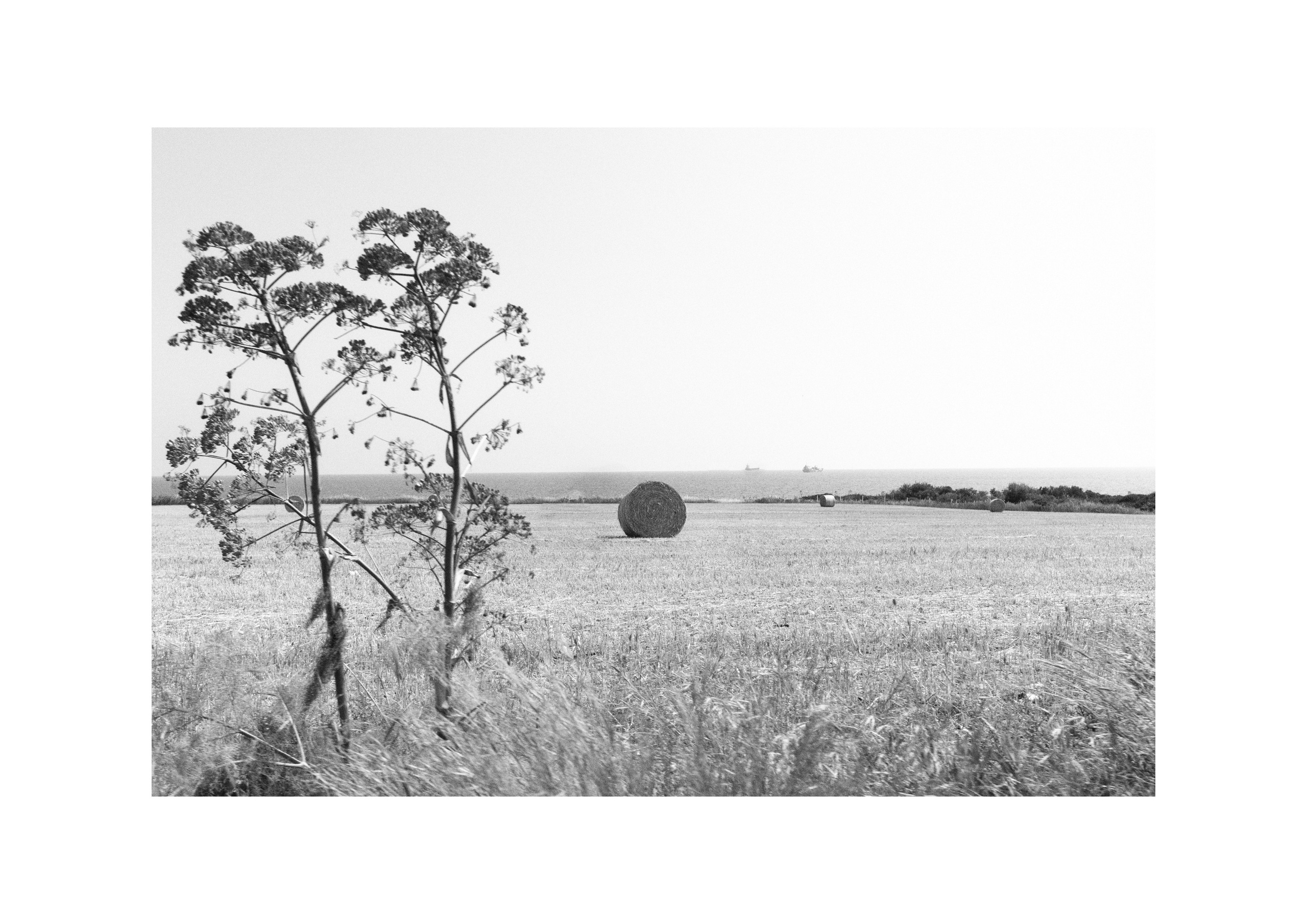 B&W. Cinema that you’ll never see