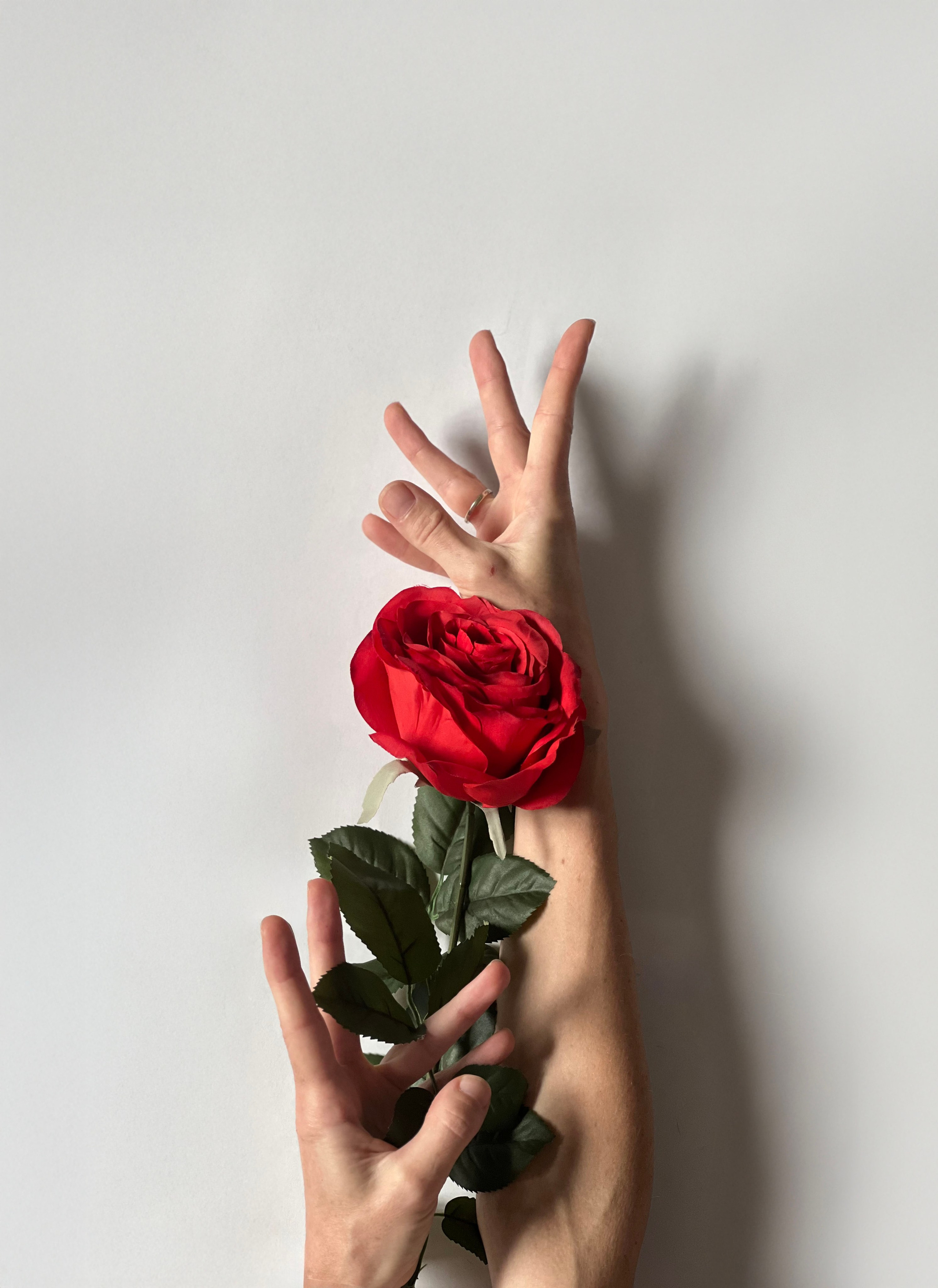 HAND. Julia Kantor | Architecture & Abstract Photographer