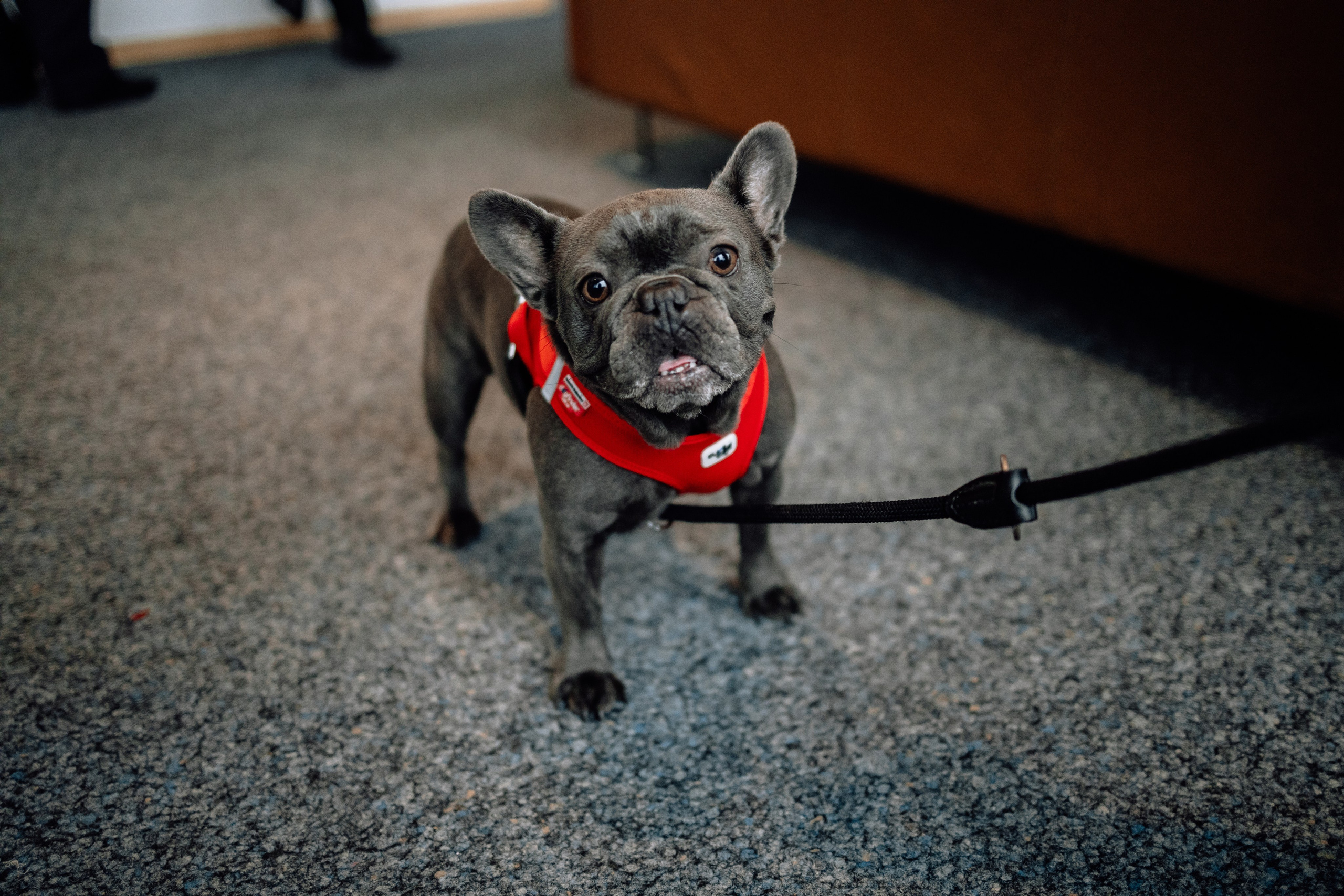 Standesamt in der Ruppertstr. München. Hochzeitsfotograf München Taufe Familienfotograf Tanja Mauke