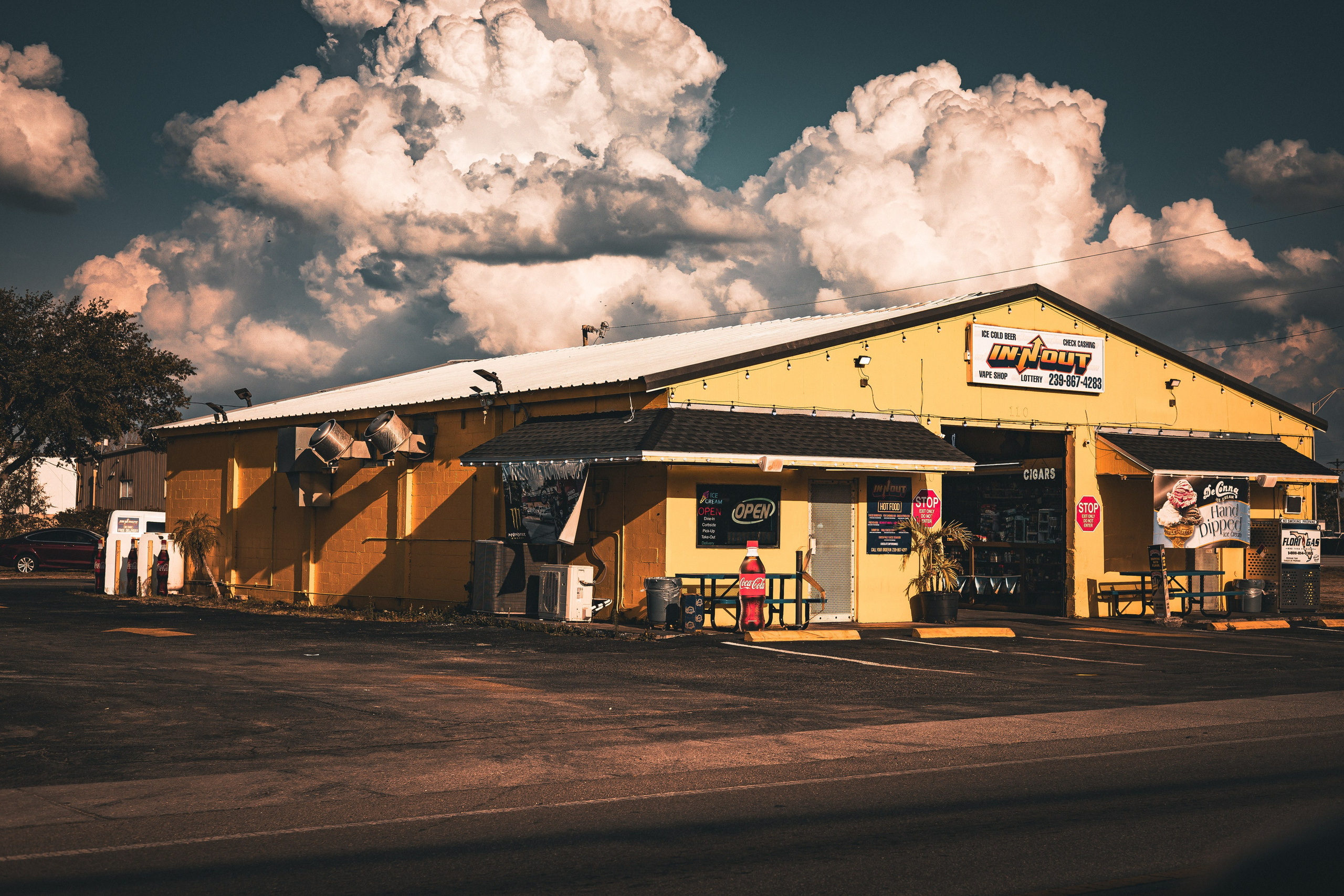 Americana — Immokolee. Out and About 239